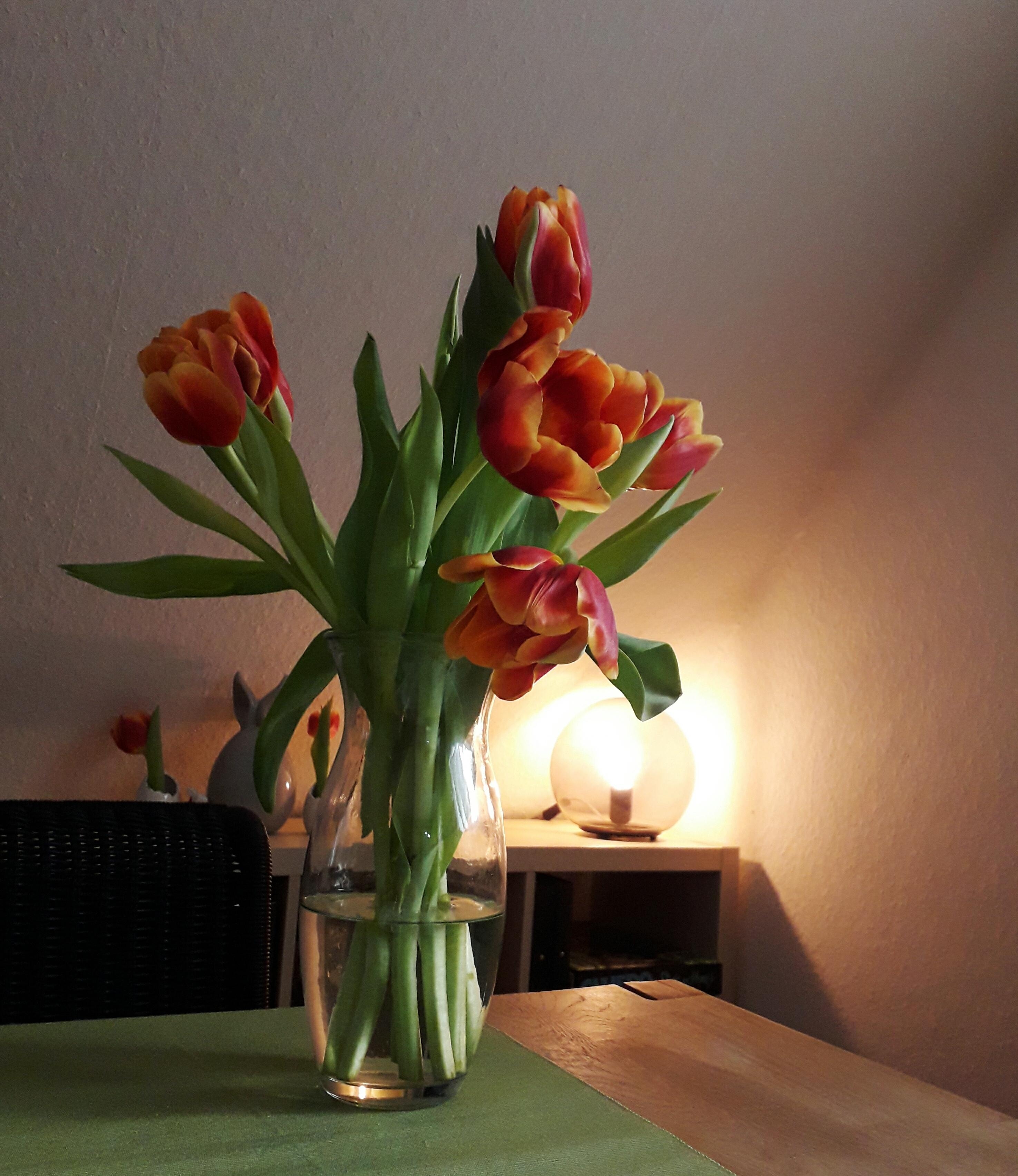 #Frühling #Tulpen #Lampe