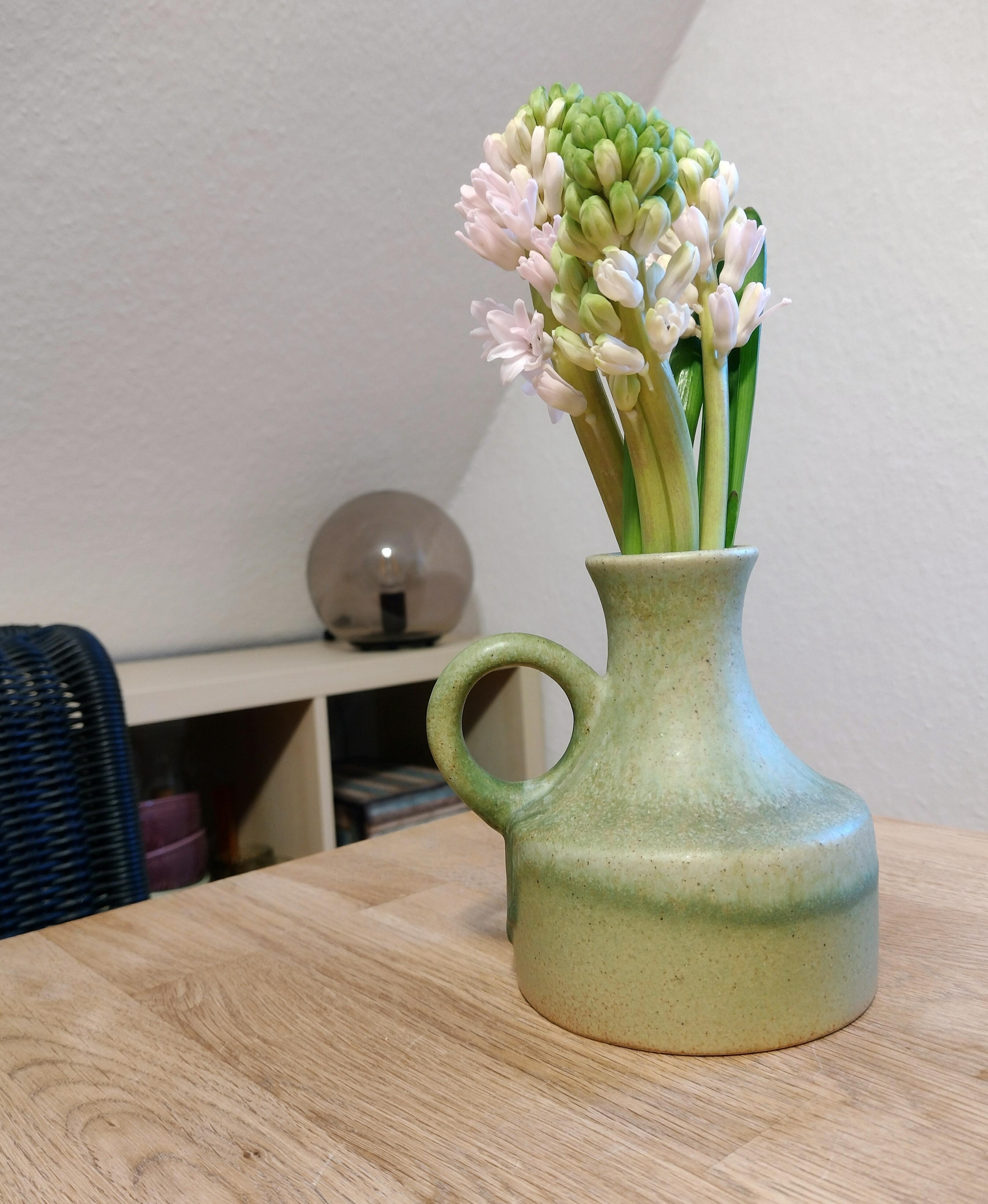 Frühlingsboten 🩷💚
#freshflowerfriday #frischeblumen #blumenliebe #vintagevase #keramikvase #hyacinthen