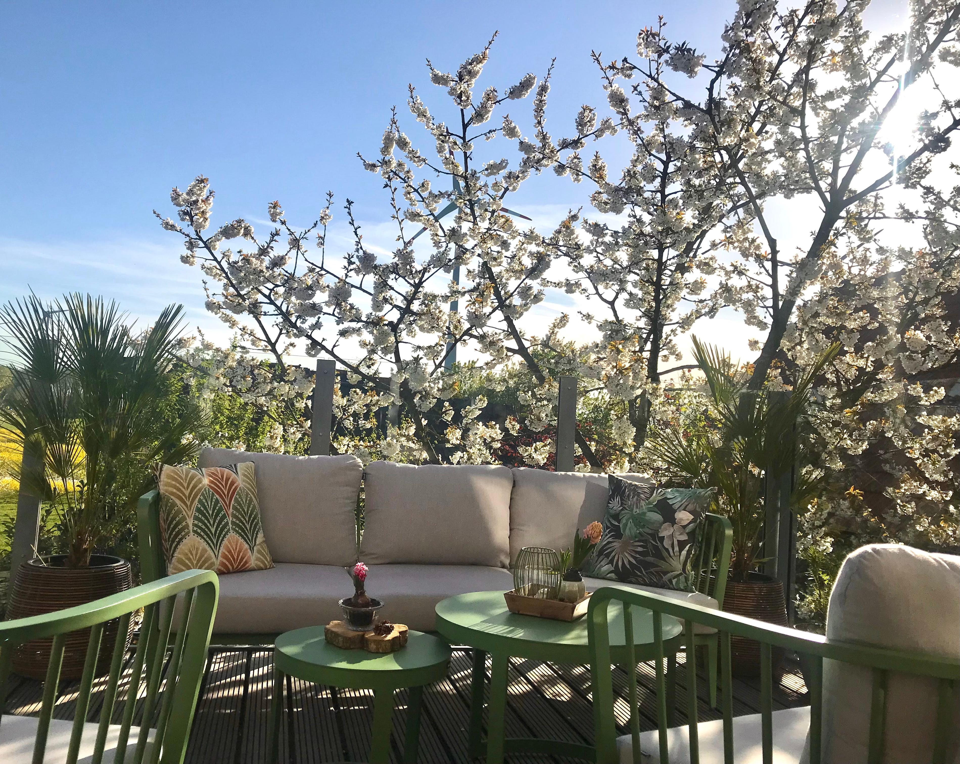 Frühlingsduft liegt in der Luft 🌸 ☀️  #kirschblüte #outdoorwohnzimmer #balkonliebe #amliebstendraußen 💚