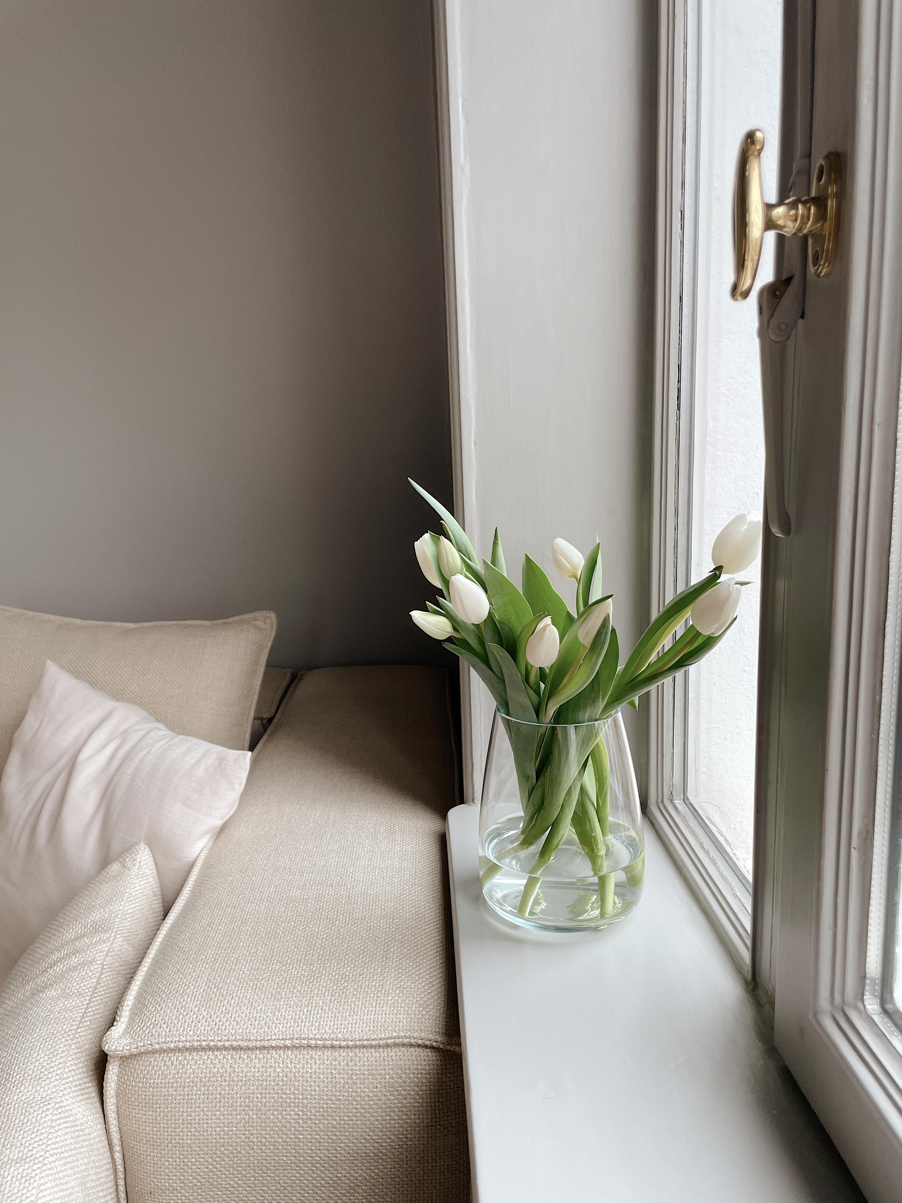 Frühlingsgefühle 🌷 #tulpen #blumen #wohnzimmer #fenster #altbau #couch