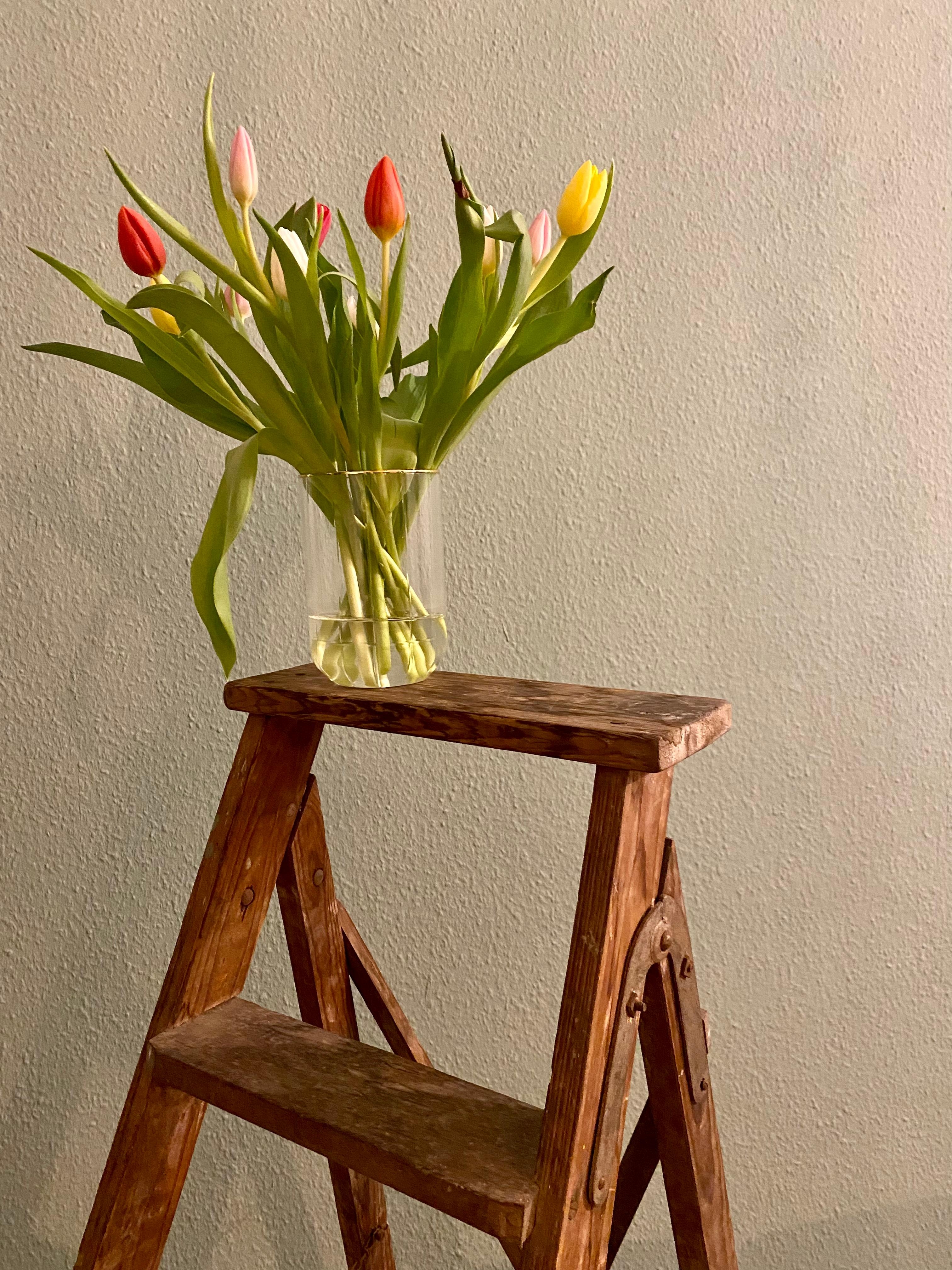 Frühlingsgefühle 🌞🌷
#tulpen #frühling #bunt #blumen #vintage #holzleiter #wandfarbe 