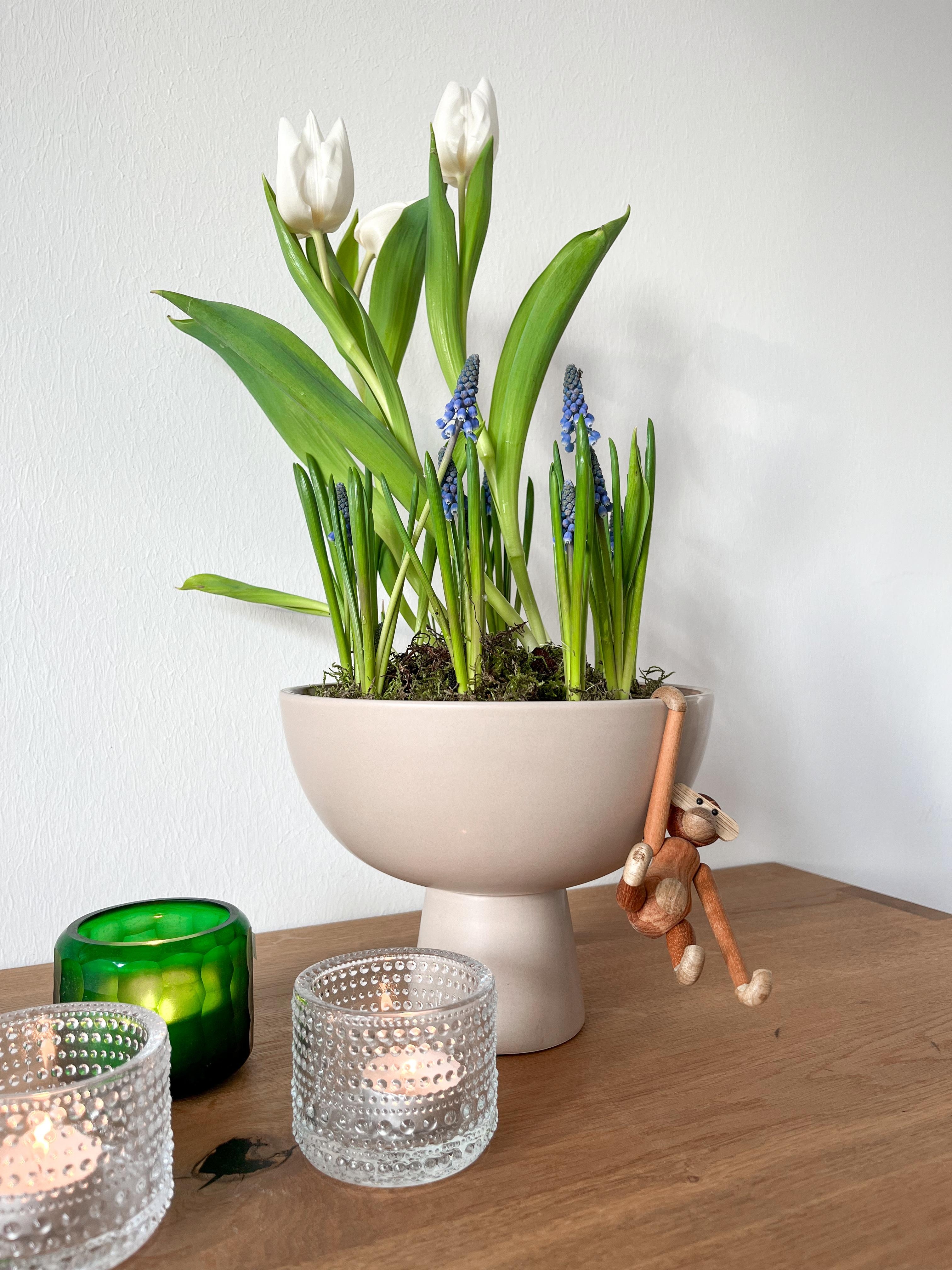Frühlingsgefühle

#flowerbowl #frühling #spring #homedecor #frischeblumen #tulpen #blumenundkerzen