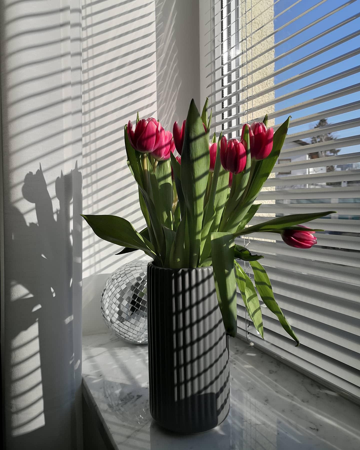 Frühlingsgefühle im Februar 🌷☀️
#tulpen #fensterblick #couchliebt #licht #wohnzimmer 