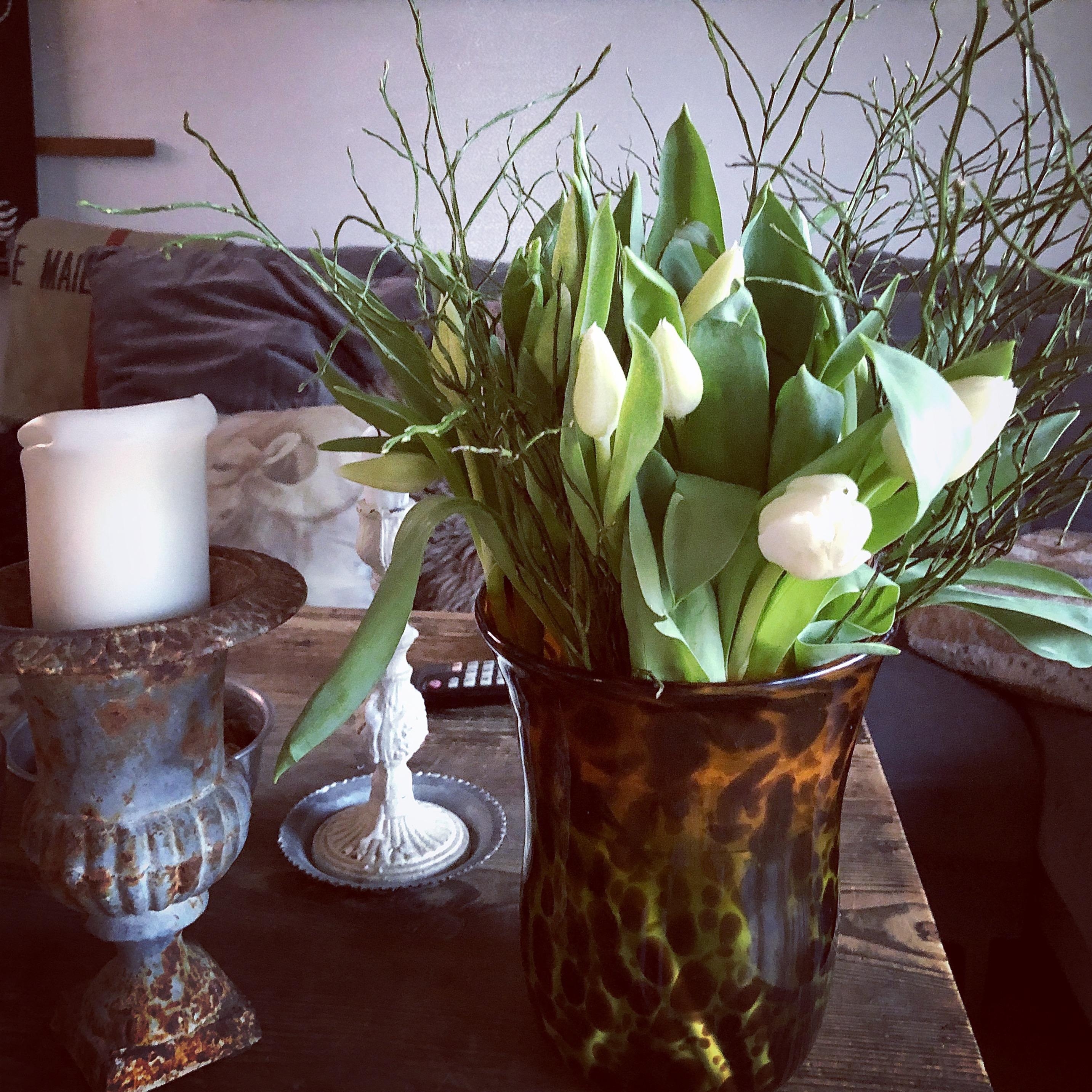 Frühlingsgruss, endlich gibt’s Tulpen!🌷🌷🌷🌷🌷🌷🌷🌷🌷🌷🌷🌷🌷🌷🌷#Blumendeko