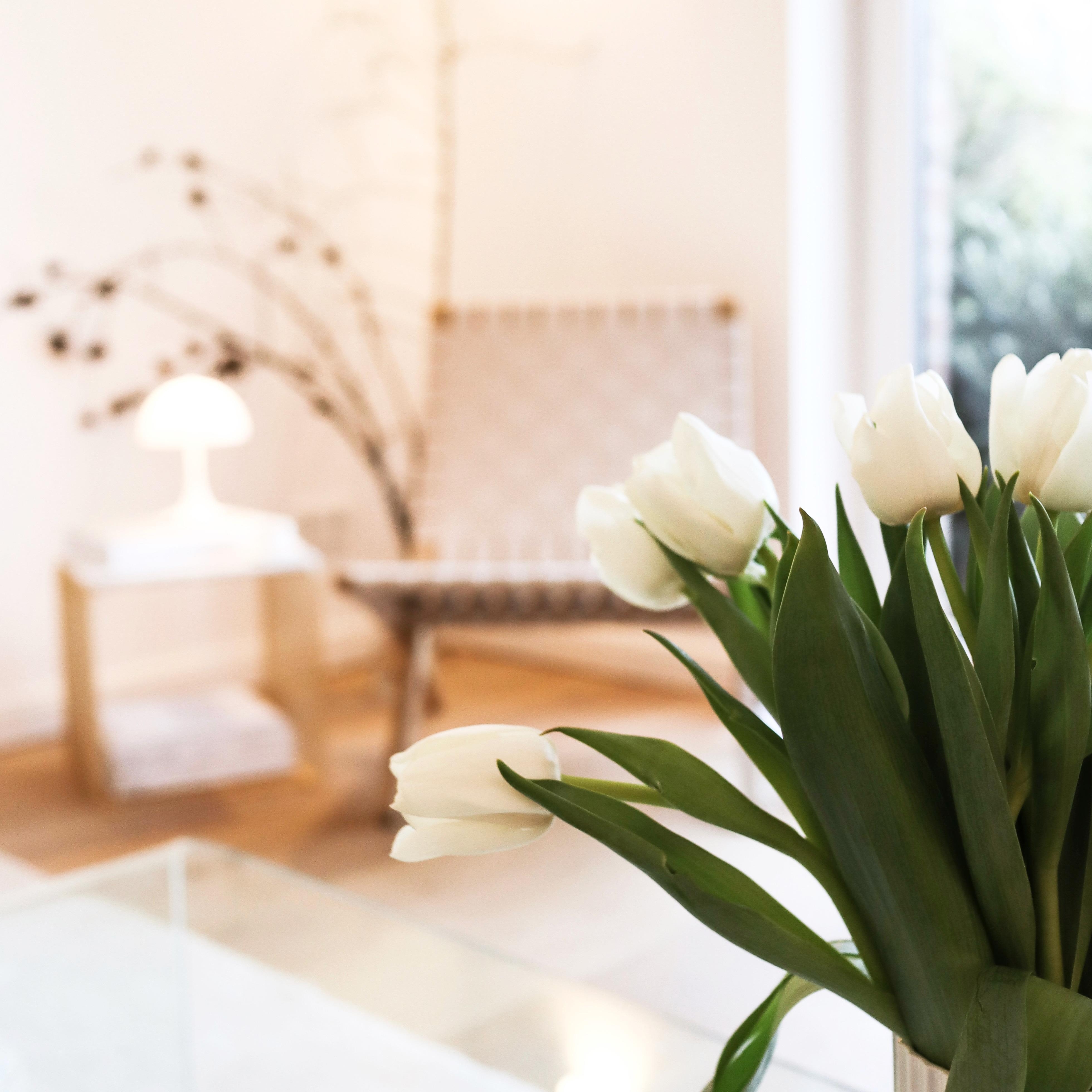 Frühlingsgruß #tulpen #weißetulpen #frühlingsdekoration #louispoulsen #carlhansenandson #wohnzimmer #scandinavianstyle 