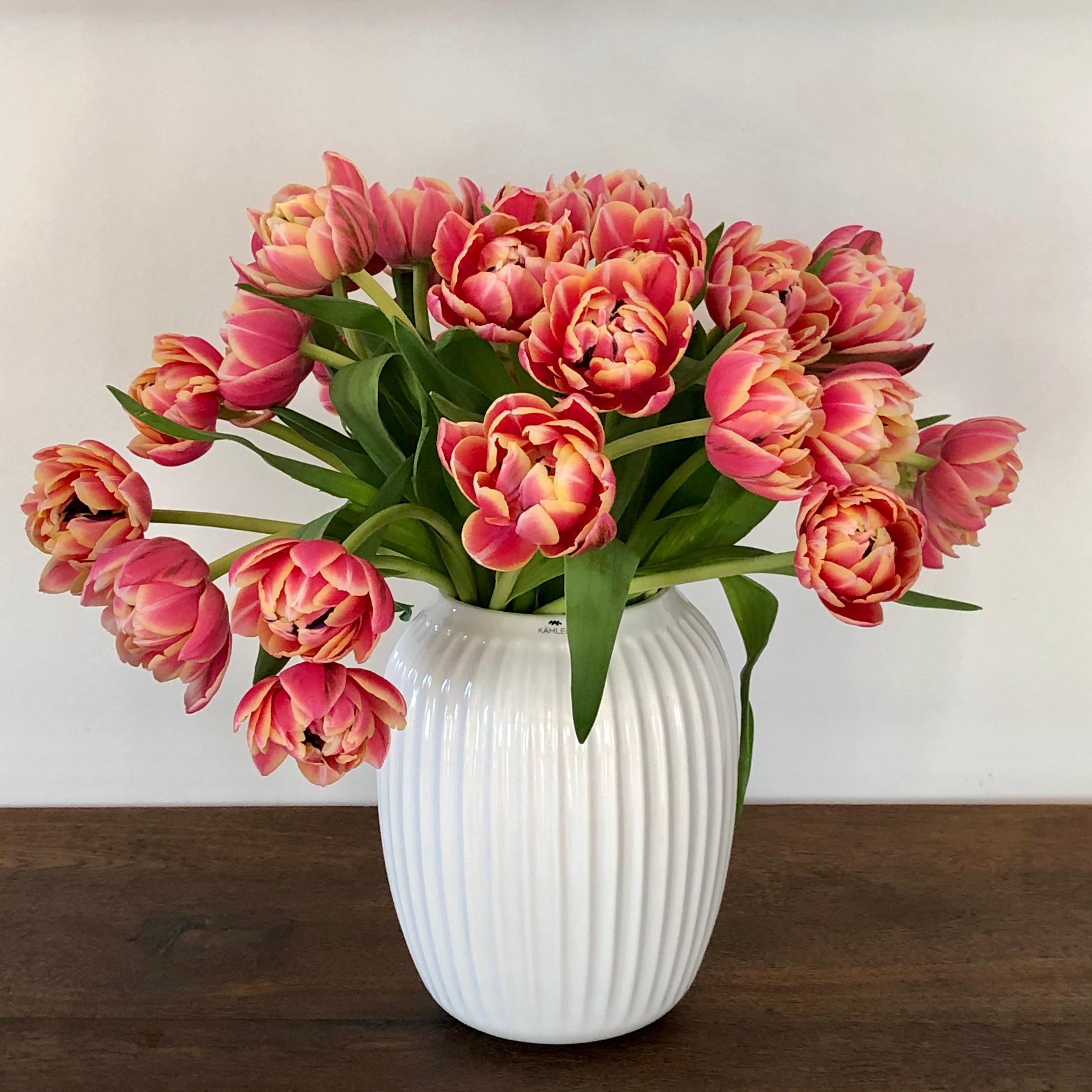 Fruhlingshafte Sonntagsgrusse Tulpen Blumenliebe