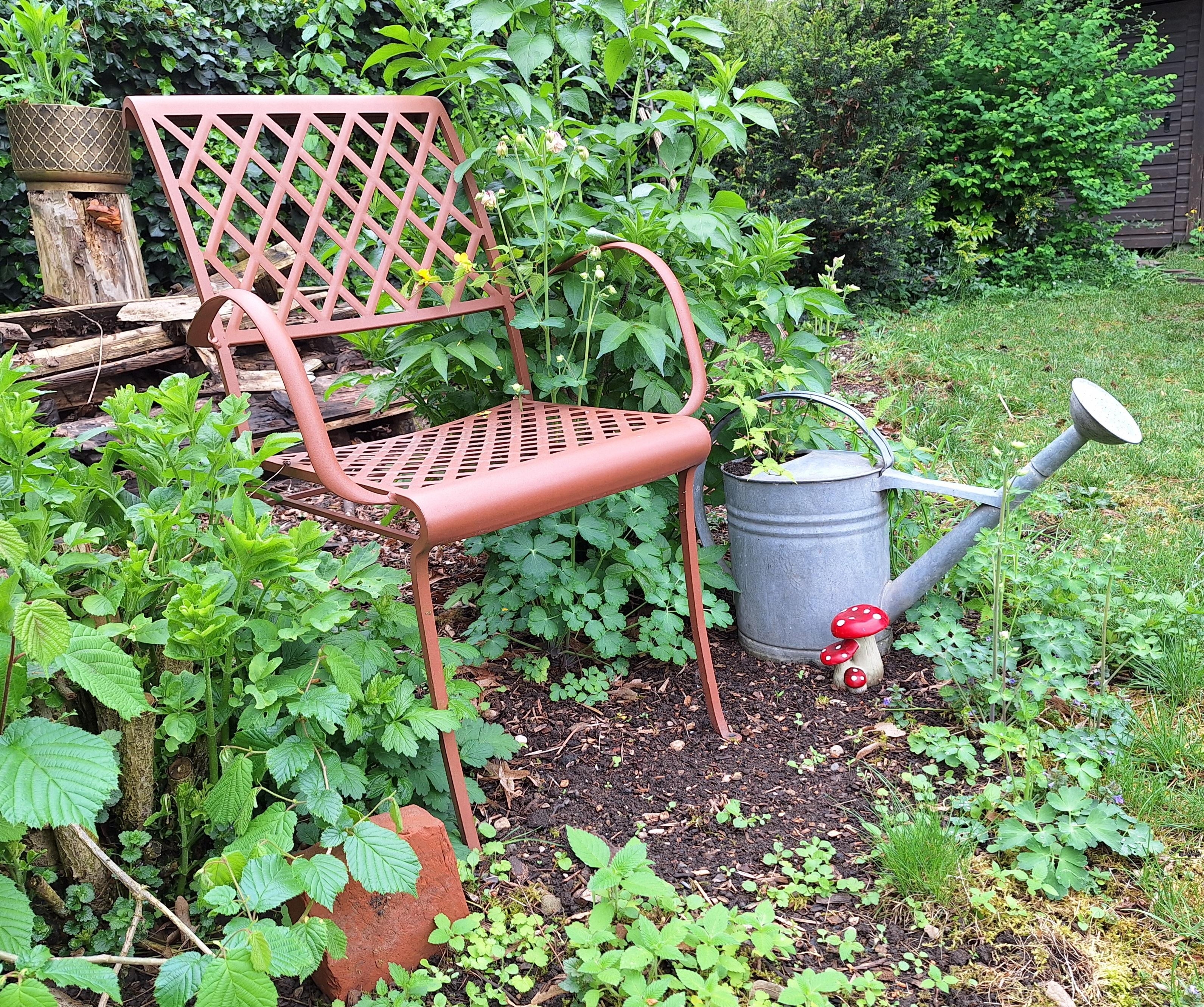 .Frühlingspilz.
#wildeEckeimGarten #Gartenstuhl #Sitzplatz #Holunder #Fliegenpilz #alteGießkanne #Natur