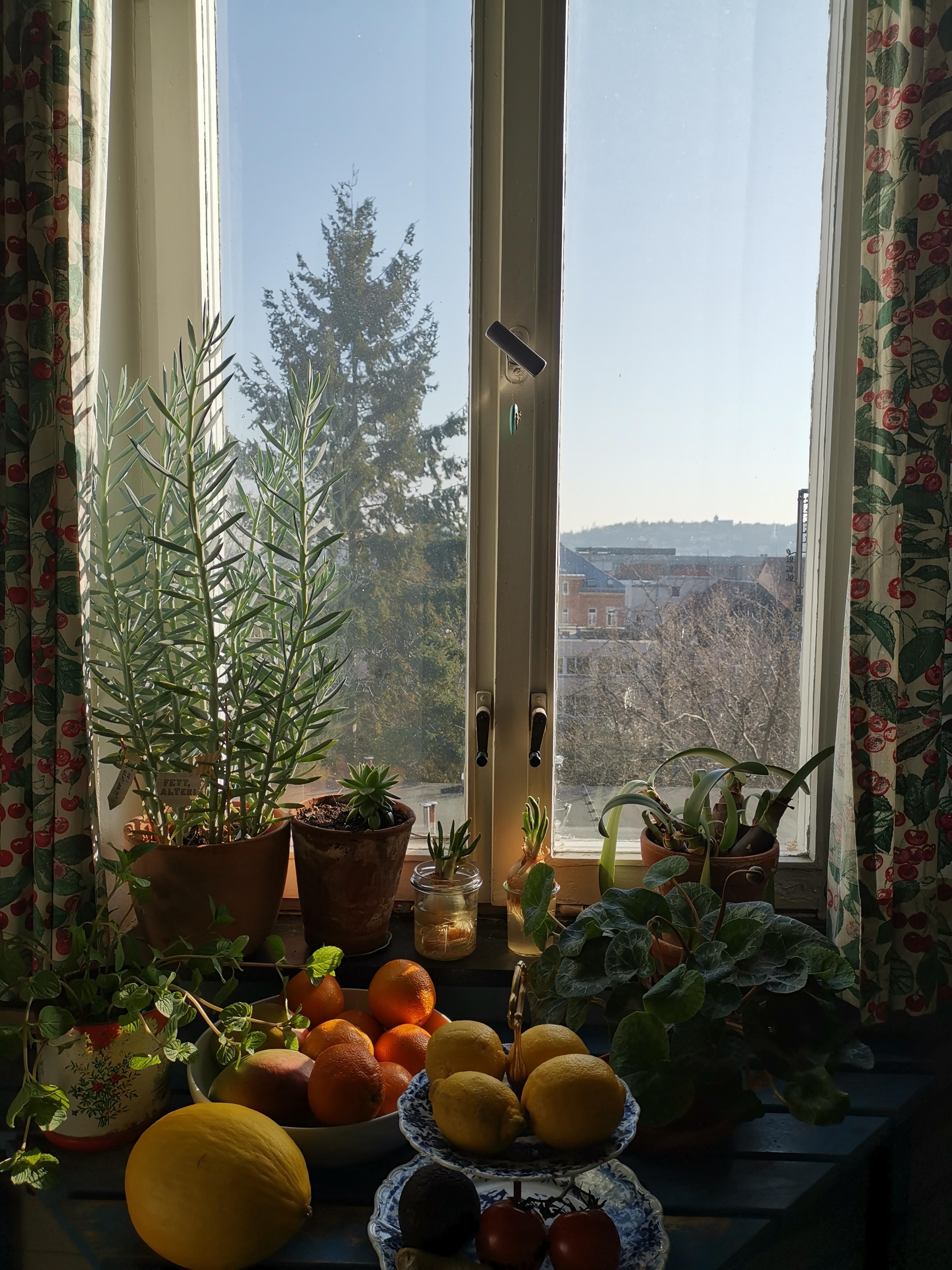 Fruitbar