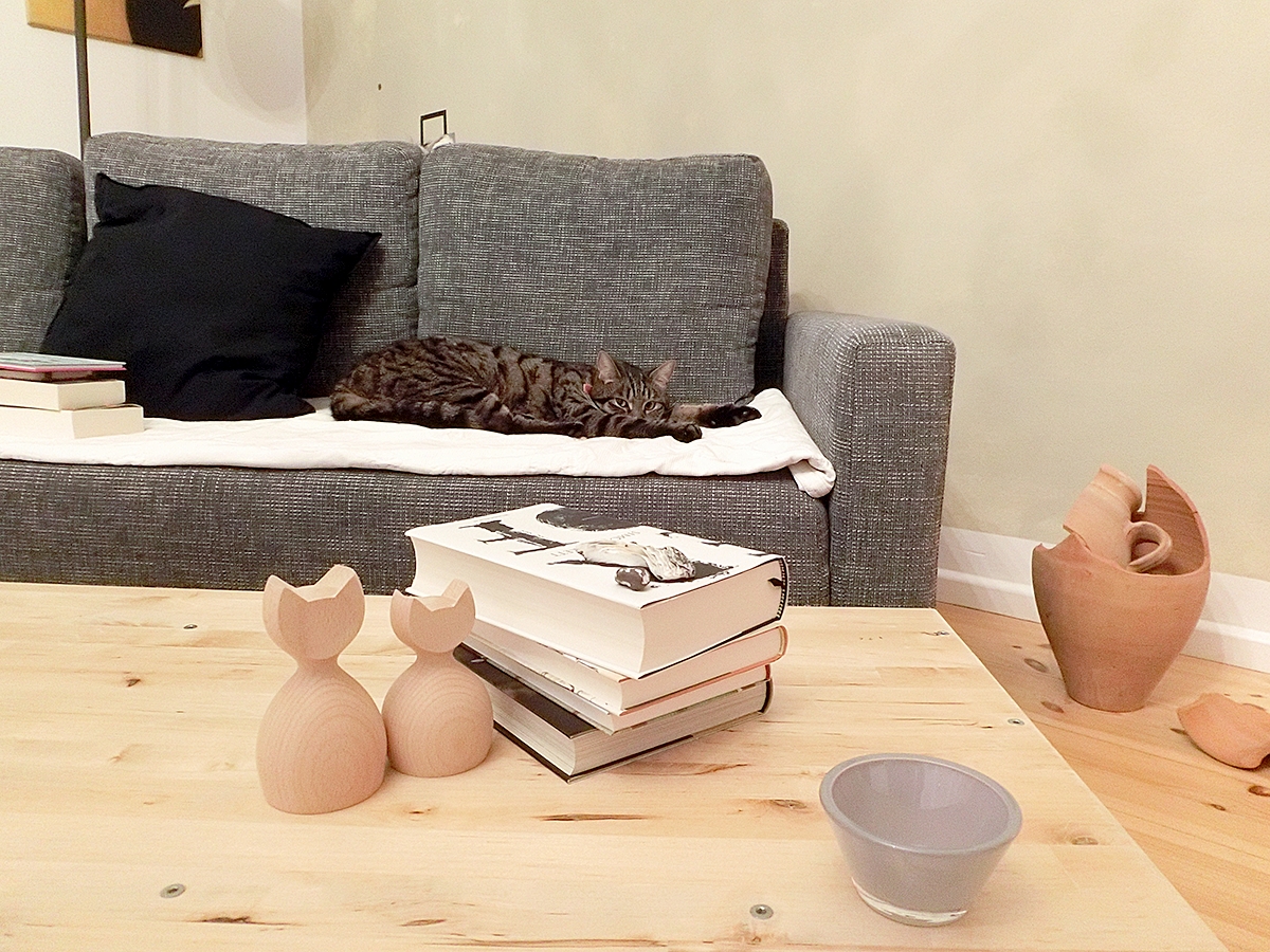 Für Fischi❣️
Fremde Katzen werden hier misstrauisch beäugt. 
#elmo #katze #wohnzimmer #couch #cat #kater #bücher