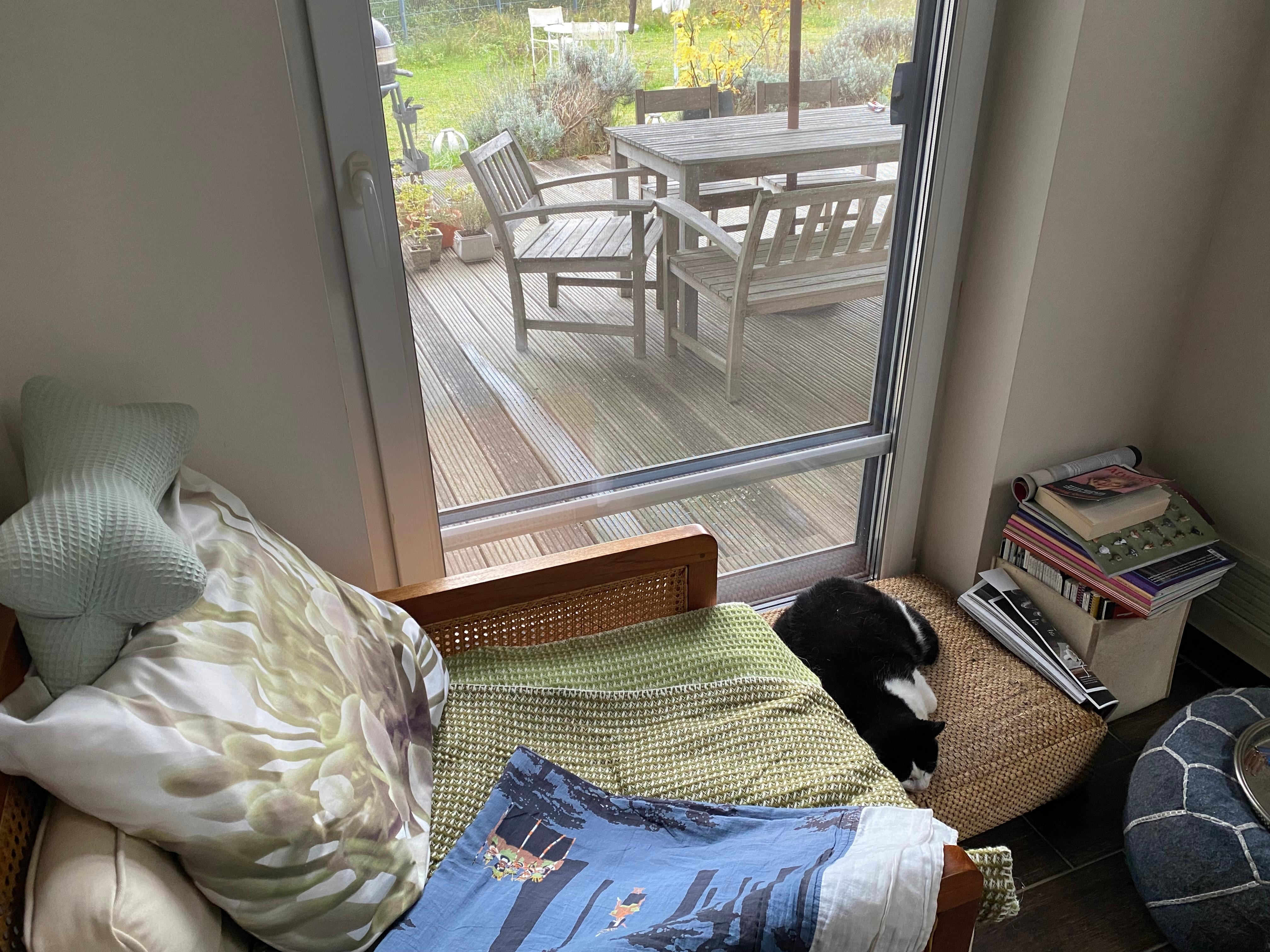 Für mich der wichtigste Ort im #Wohnzimmer: der Lesesessel mit Blick nach draußen #livingchallenge
