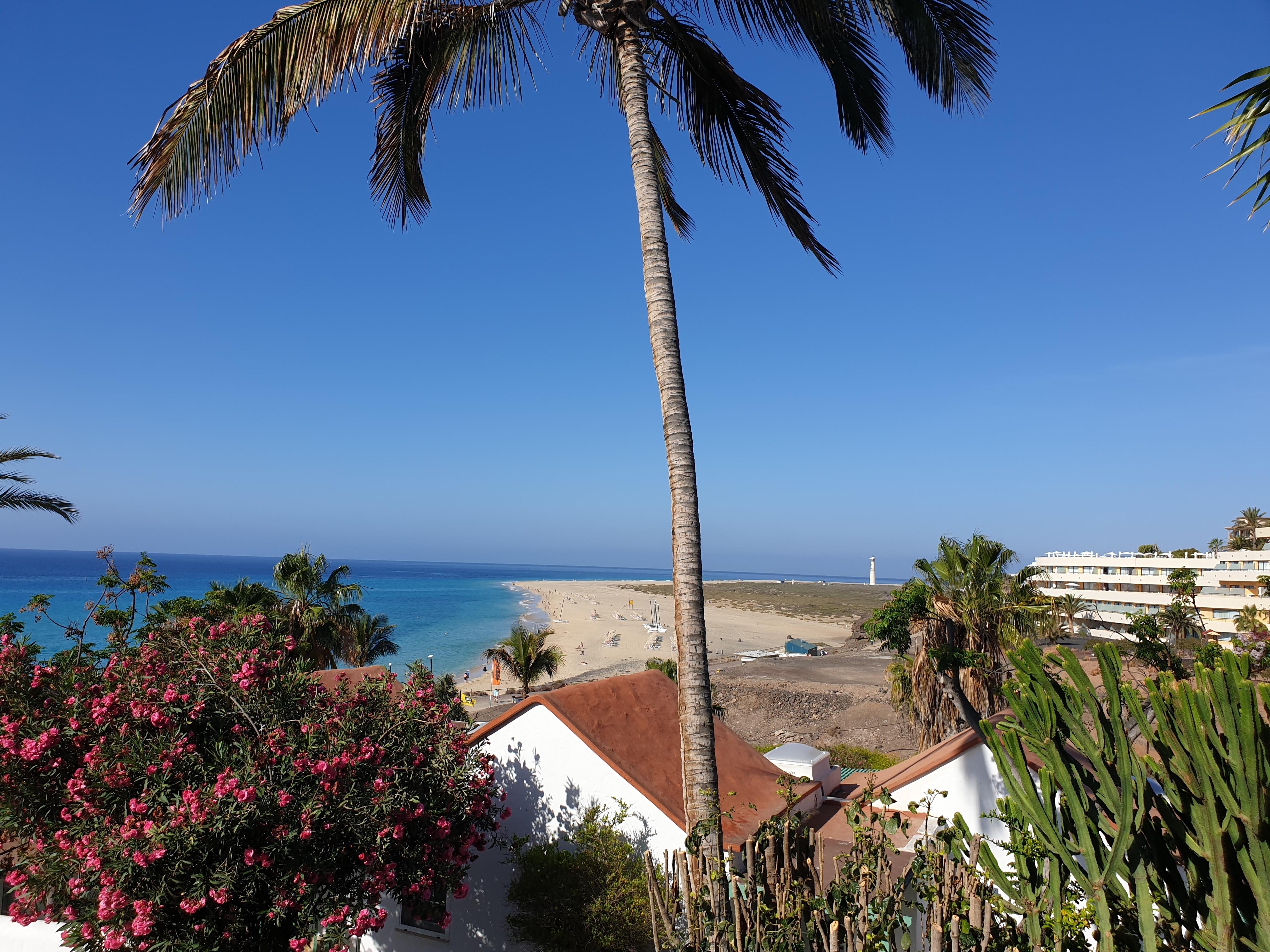 #Fuerteventura #beach #relax #sunshine
