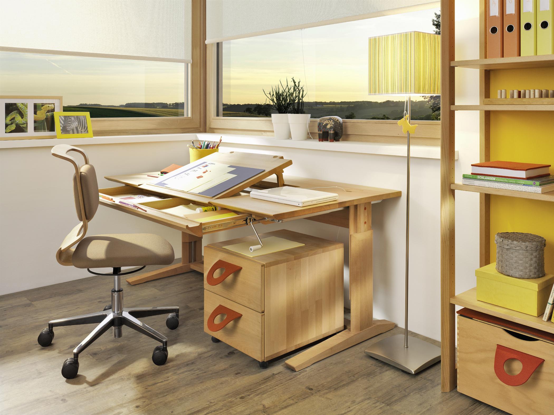 Funktionaler Schreibtisch im Arbeitszimmer #büromöbel #bürostuhl #schreibtisch #rollcontainer ©Team 7