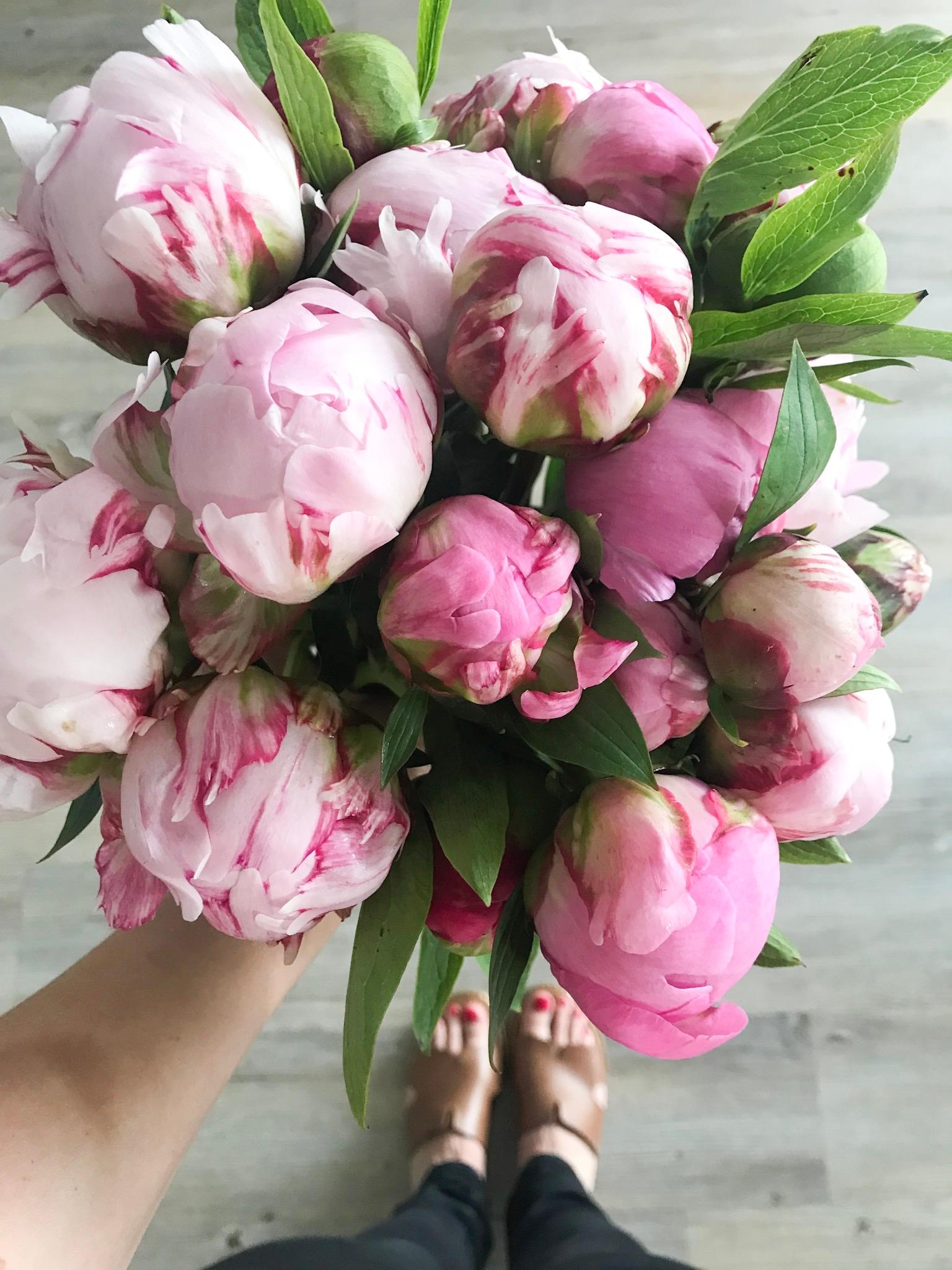Ganz große Liebe 💕 
#peonies #freshflowers #lieblingsblumen
