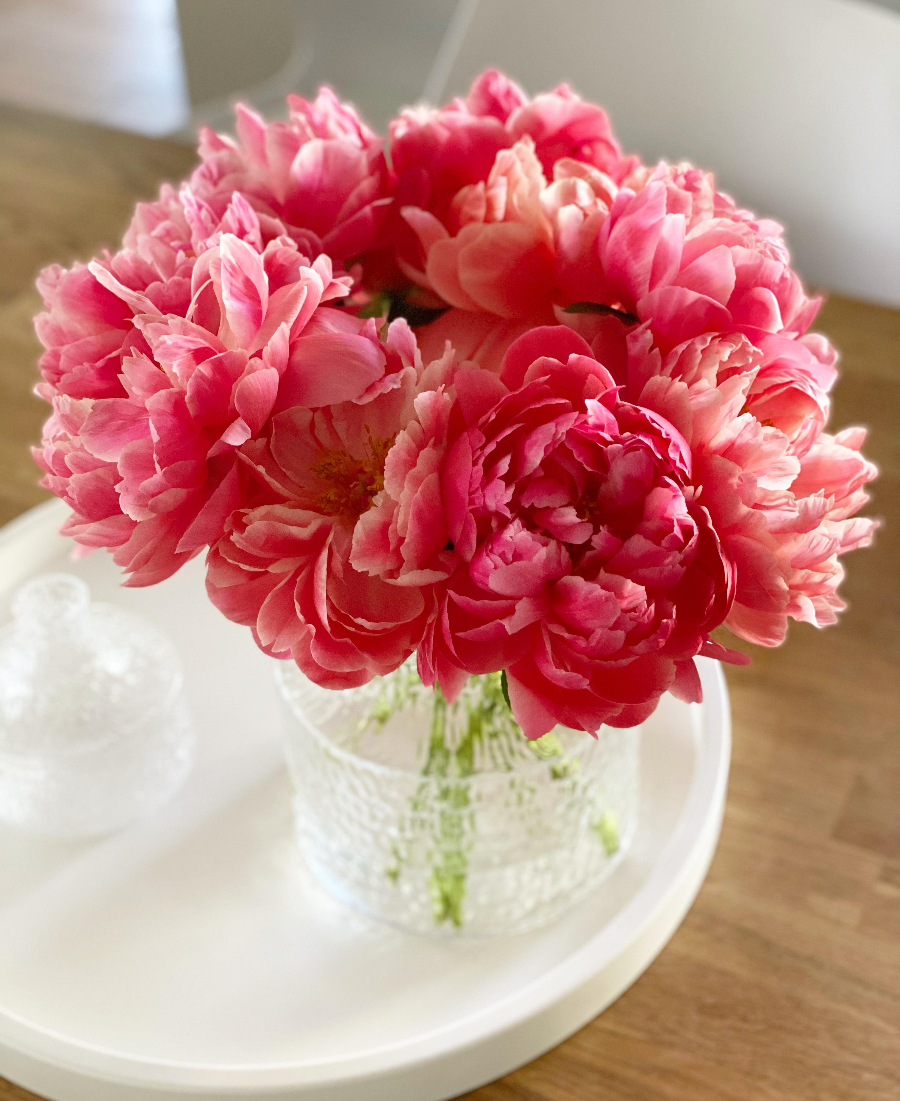 Ganz große Liebe #pfingstrosen #vase #blumendeko #freshflowerfriday 