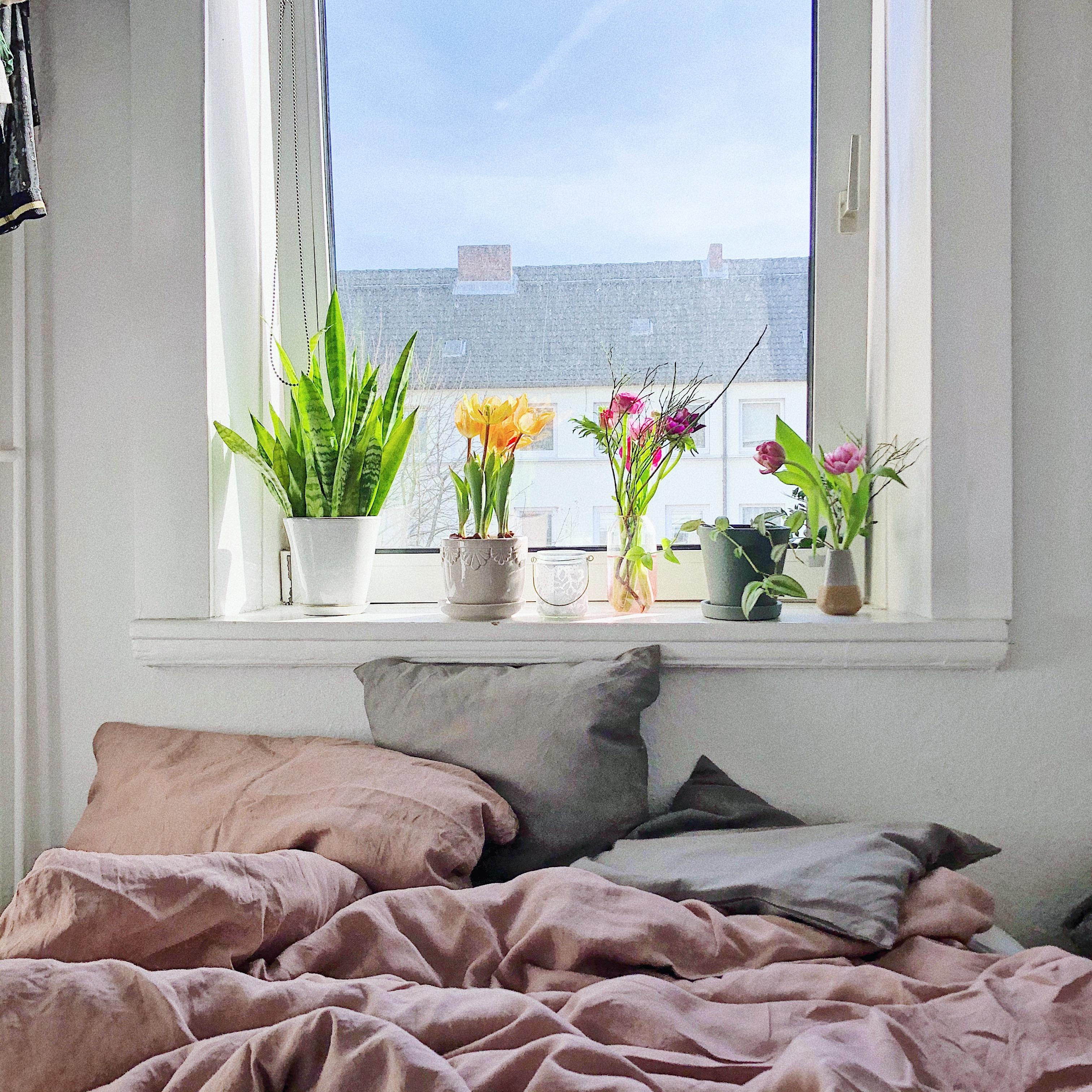 Ganz guter Platz würd ich sagen... 
#Schlafzimmer #Bett #Altbau #Blumen