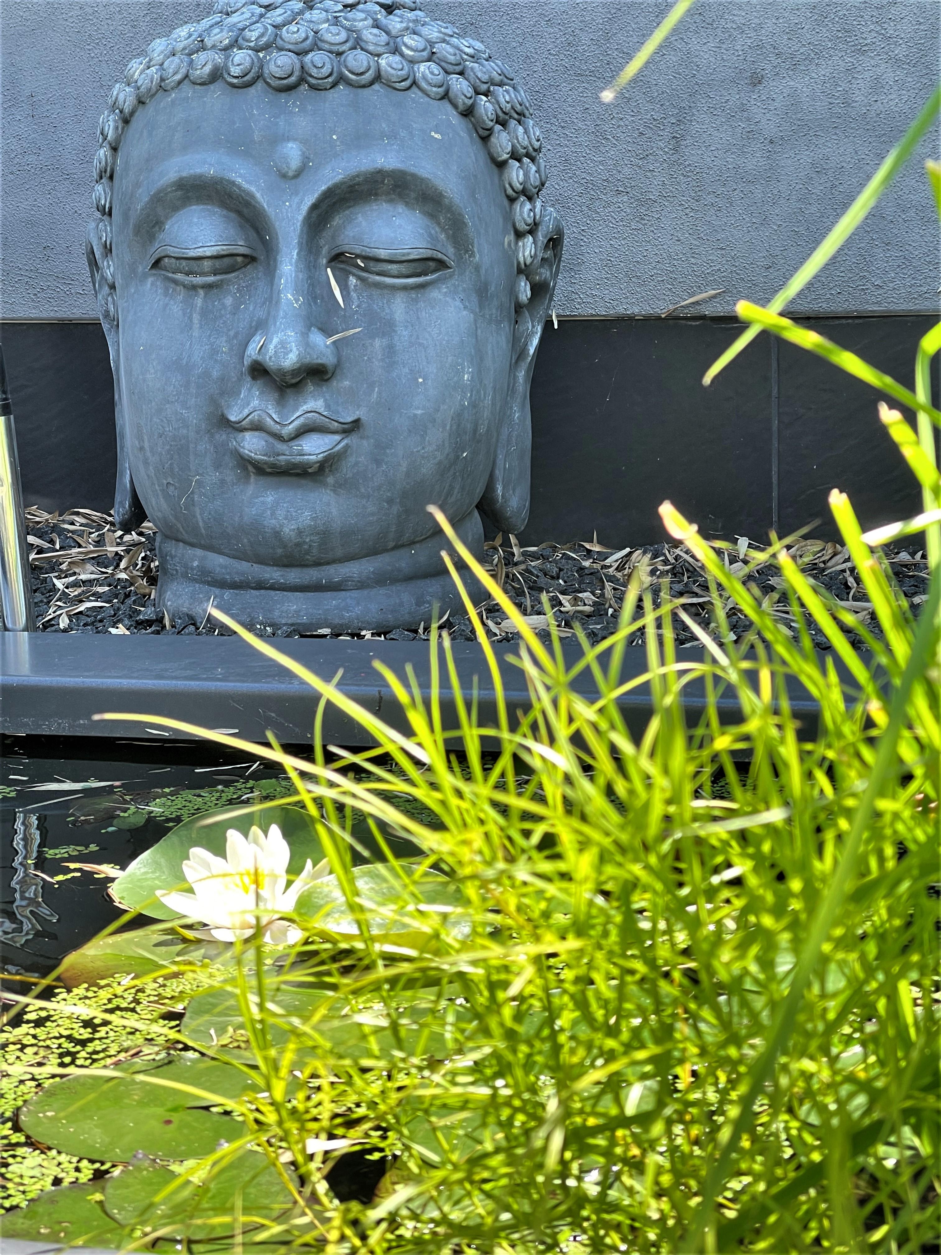 #Garten #Buddha #Teich