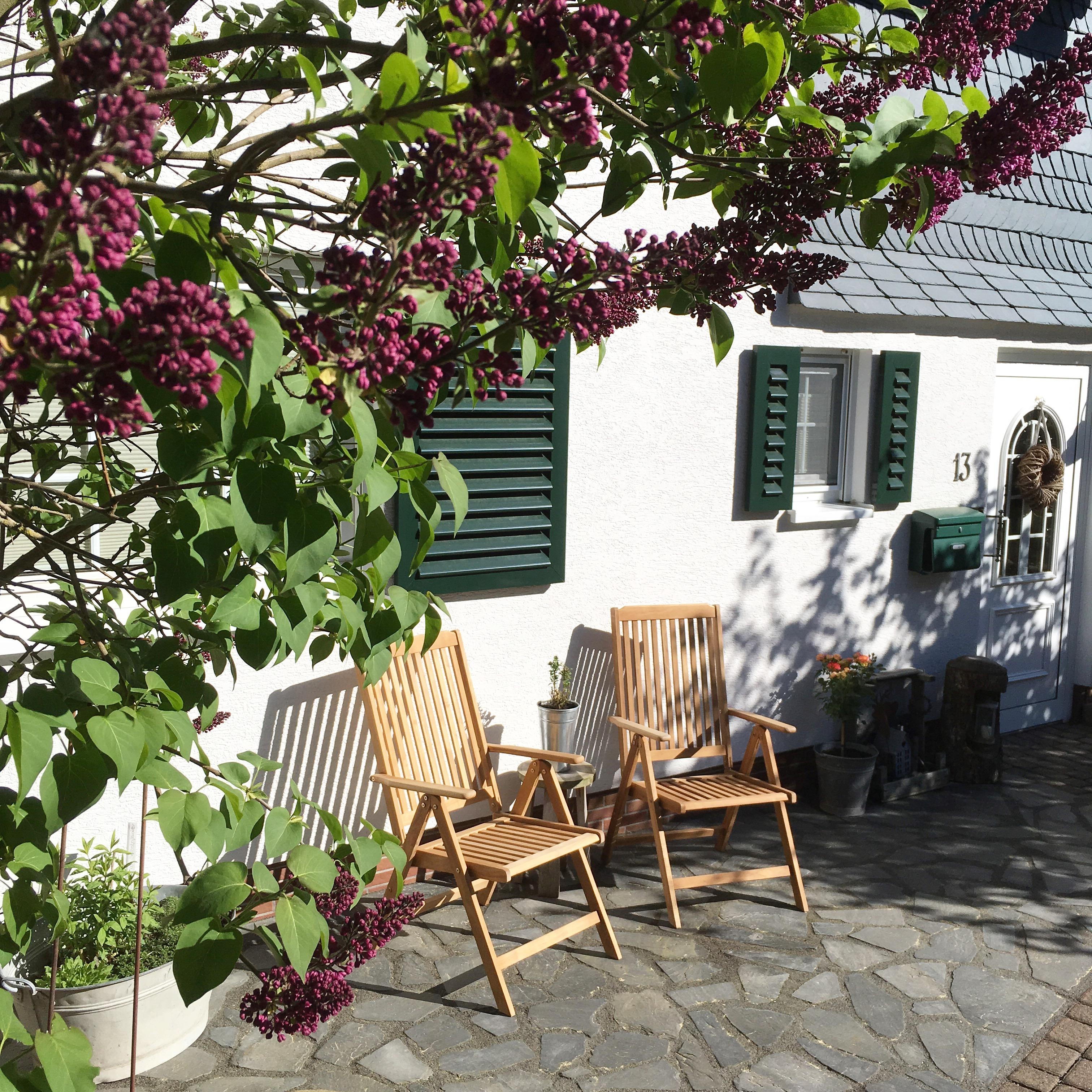 Garten-Grüße! #garten #sonnenschein #flieder #terrasse #happyday #sommer #summer 