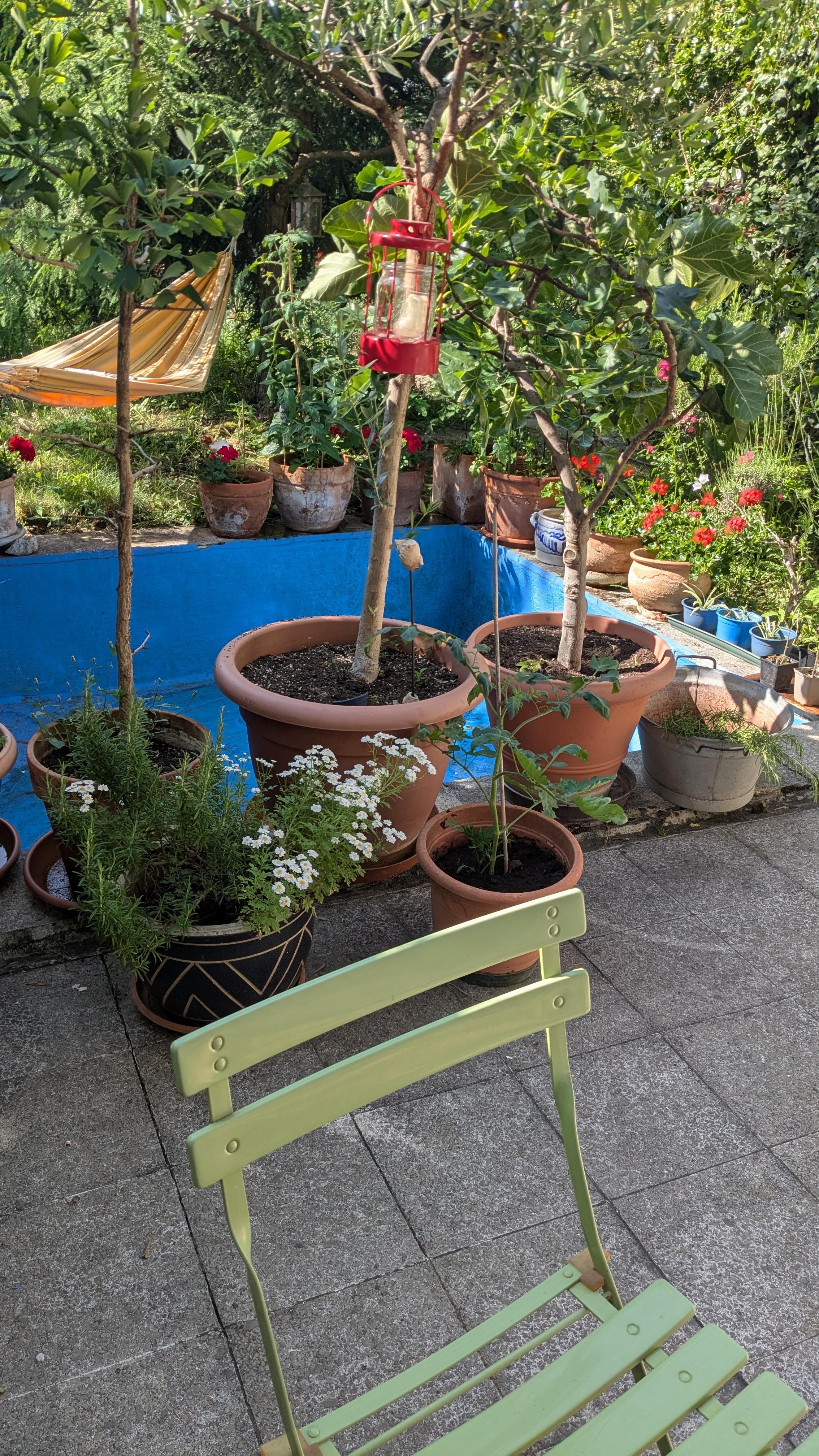 Garten im Sommer 