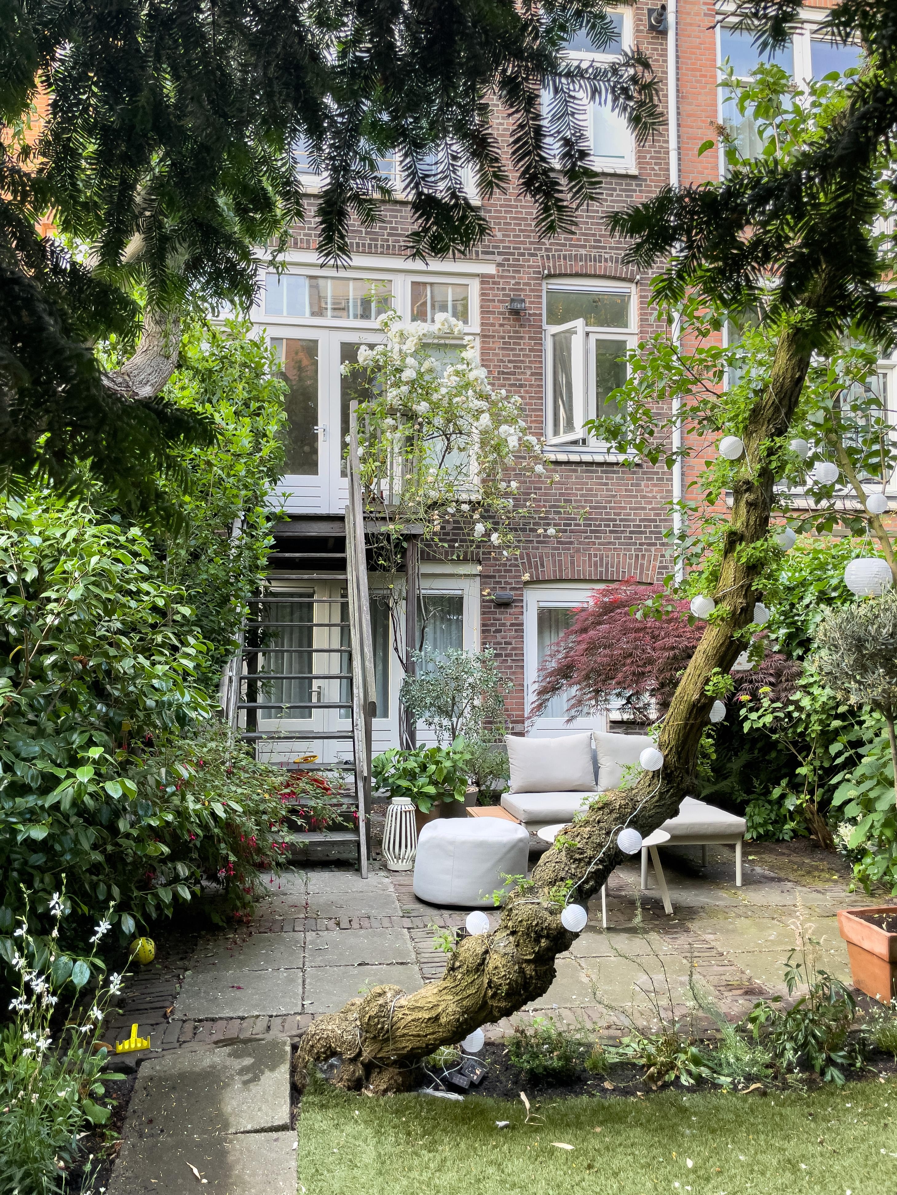 Garten Impressionen 🤍
#garten #gartenliebe #klinker #aussenansicht #stadtwohnung #terrasse #niederlanden #innenhof