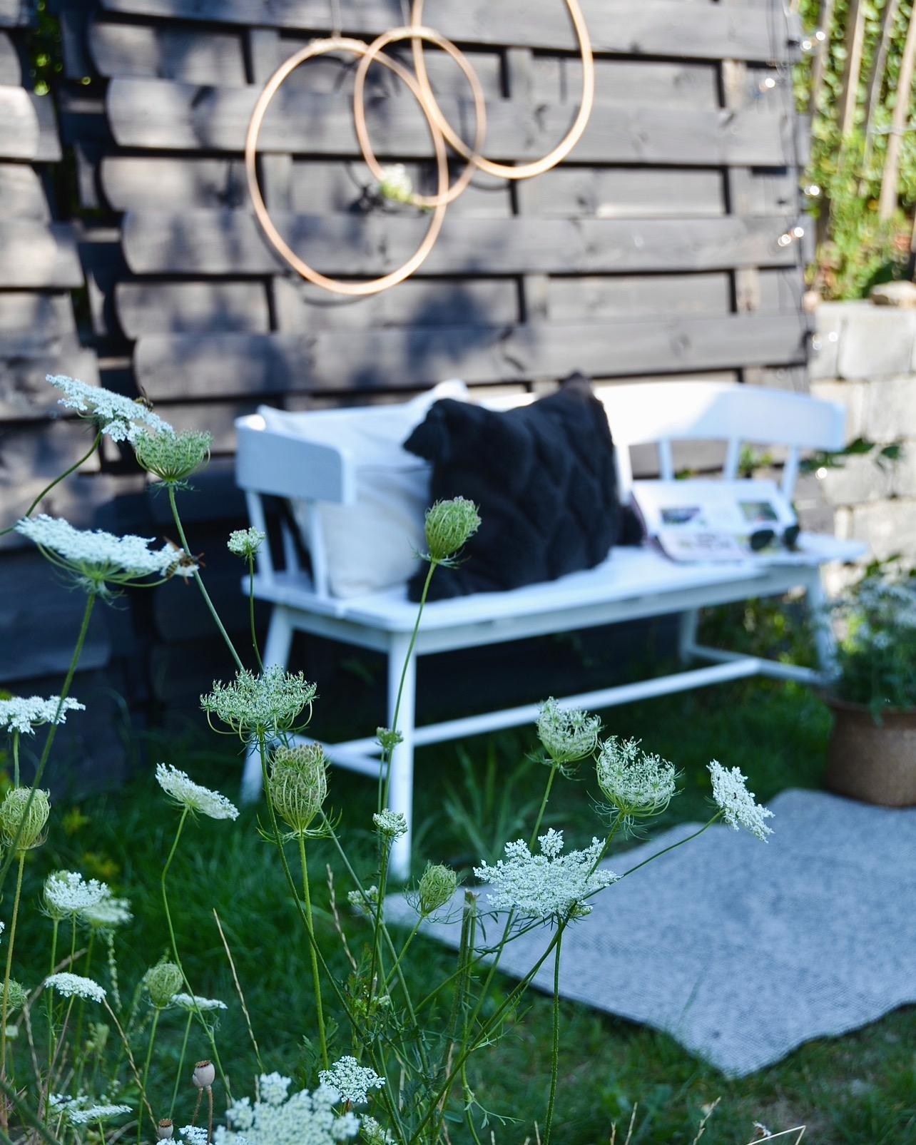 Gartenblick 🤍 #sommergarten #sommerblumen #wildemöhre #gartenbank #skandinavischwohnen #vintagehome #altbauliebe #sommertage #sommerabend #lieblingsplatz 