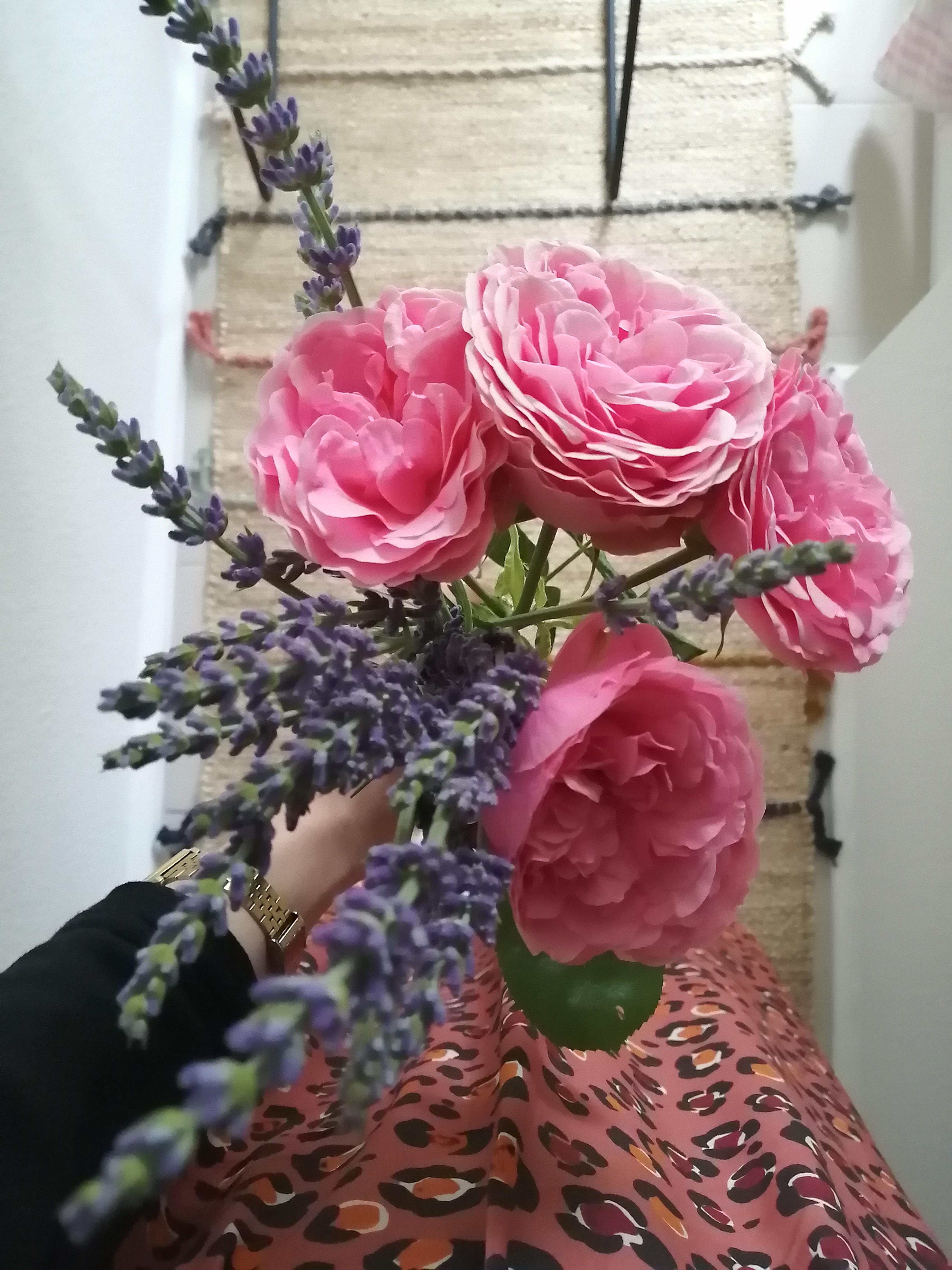 Gartenblumen #sommerinberlin #rosen #lavendel #eineküchevollerblumen #novelberlin #hatdieschönstenröcke