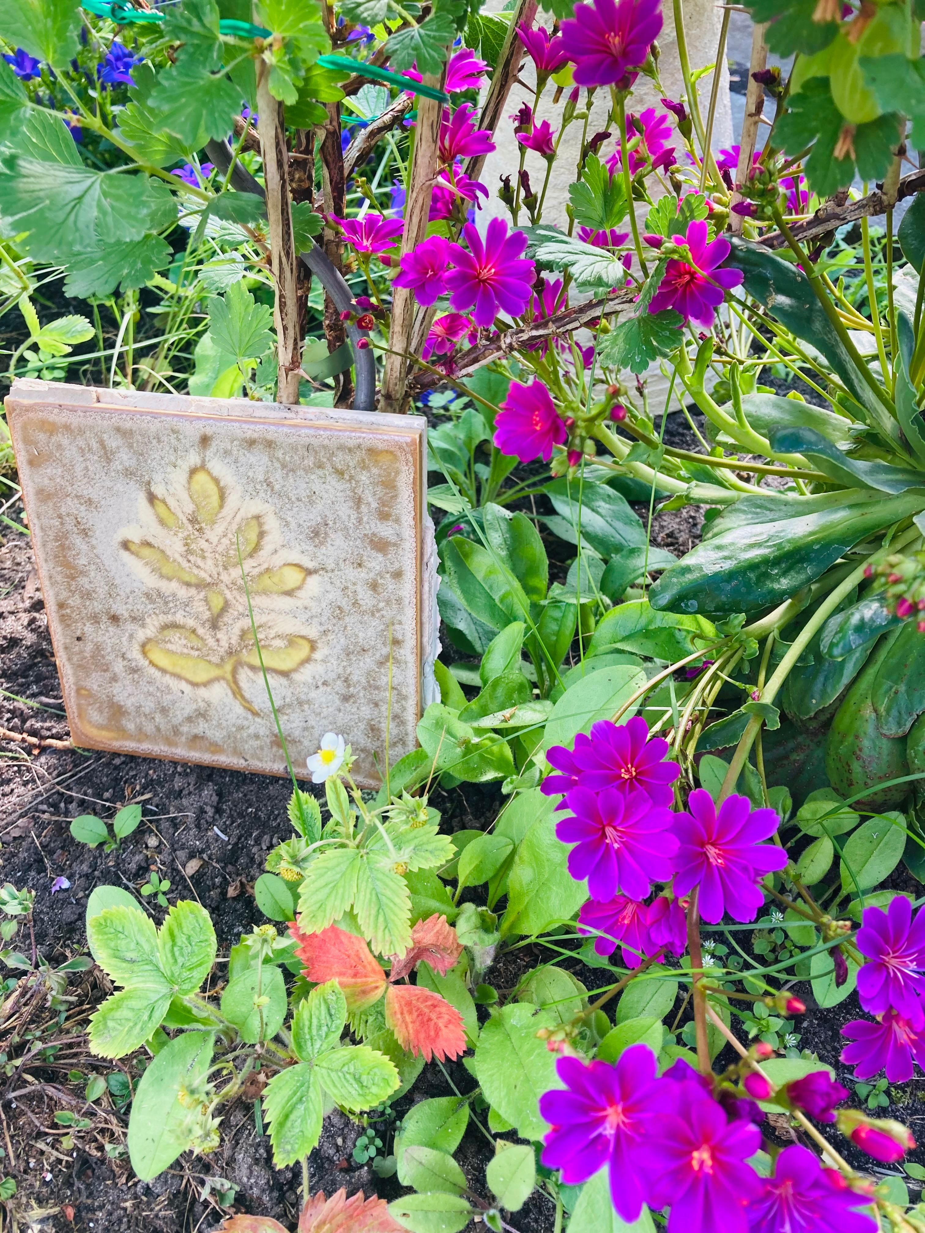 #gartenkunst #deko #fliese

Kunst im Beet.