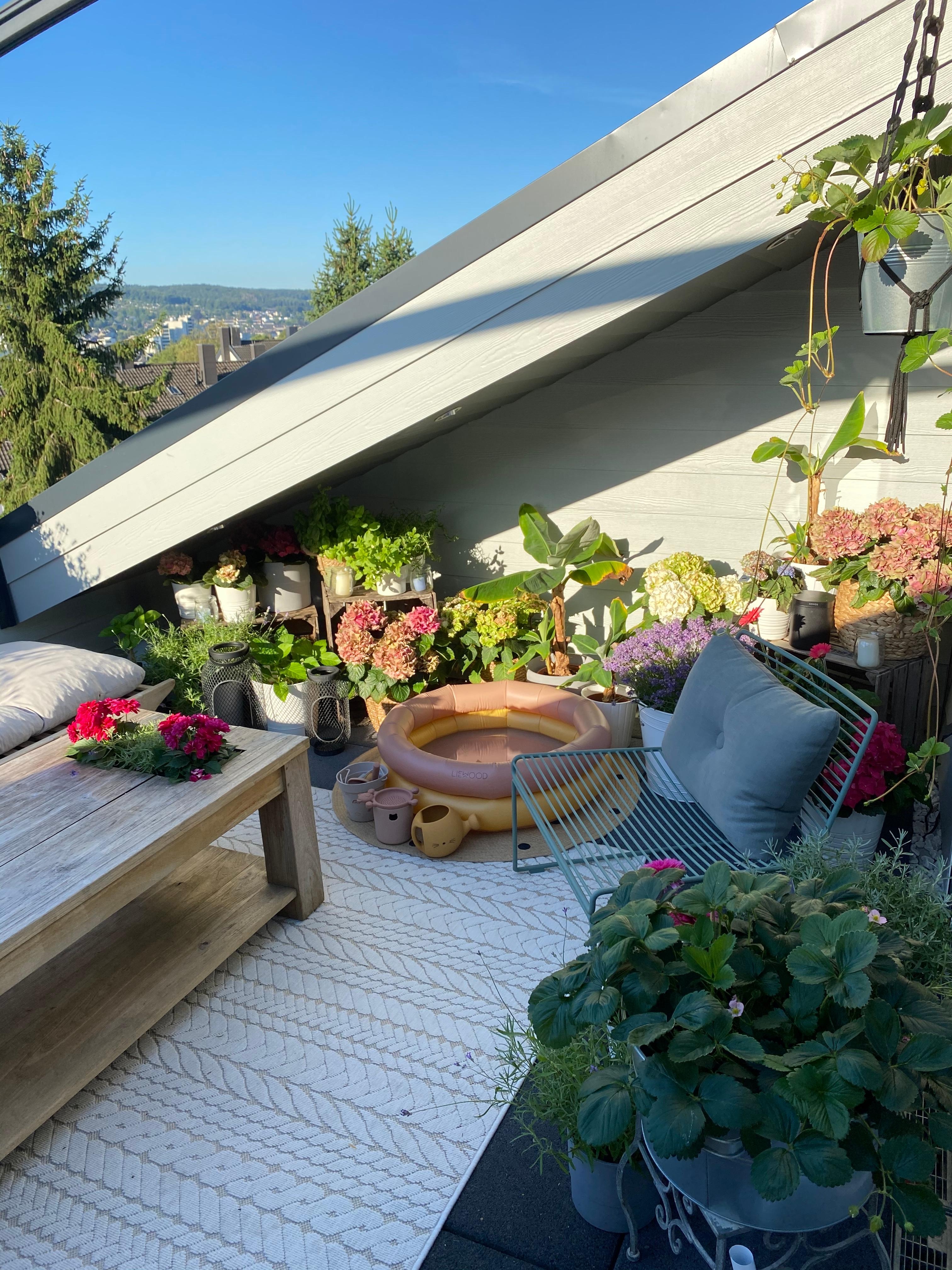 #gartenliebe
Der Garten auf der Dachterrasse 😍