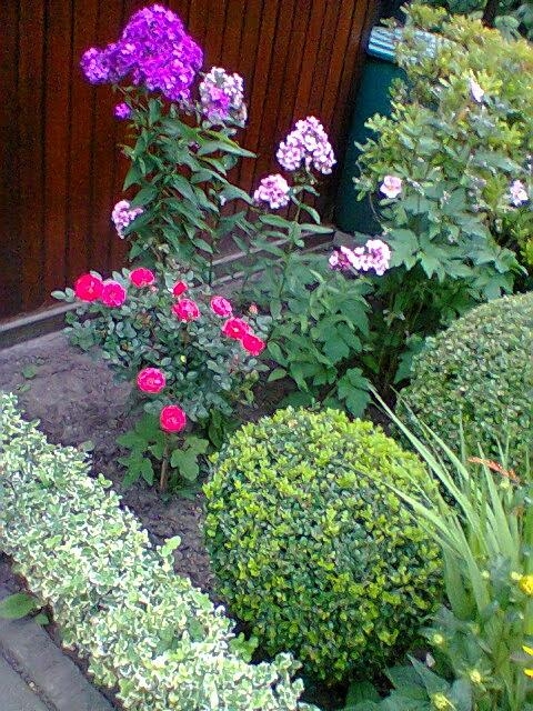 #Gartenparadies #Hamburg