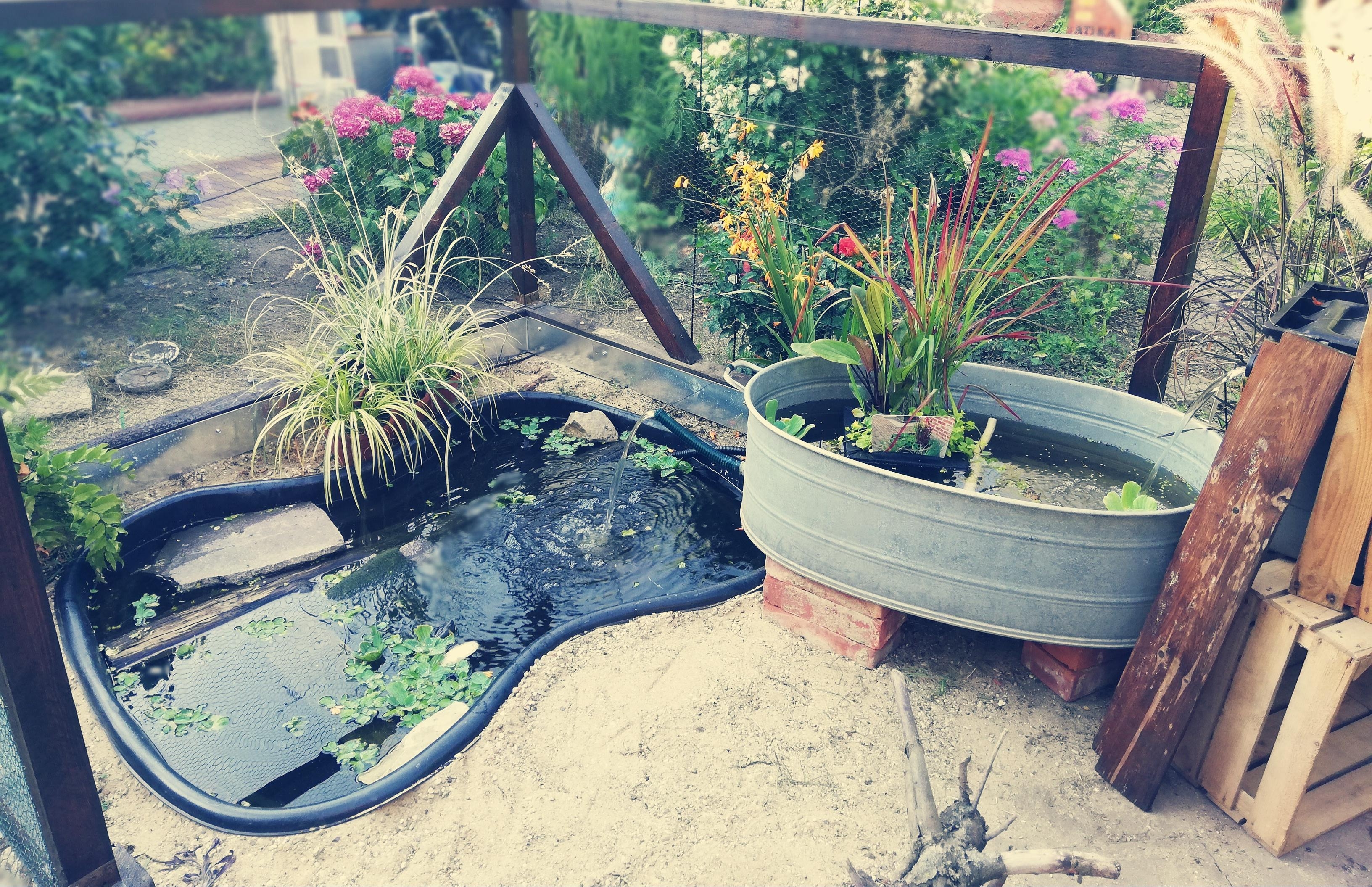Gartenzeit ist schöne Zeit... Unser Katzenfreigehege mit Teich #FrischluftFürDieStubentiger
