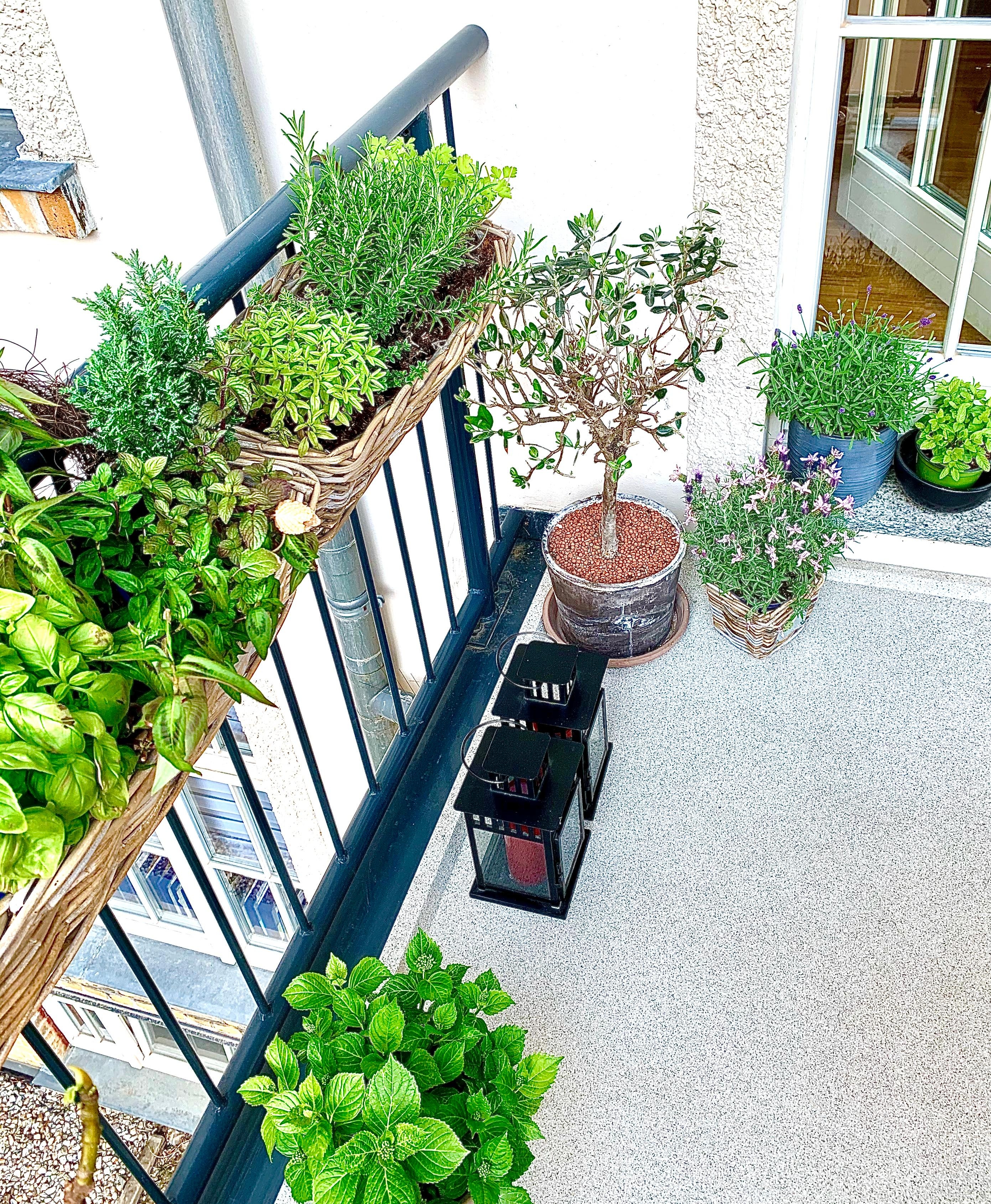 Geht jetzt gut ab auf dem #balkon
#outdoorliving #kuebelpflanzen