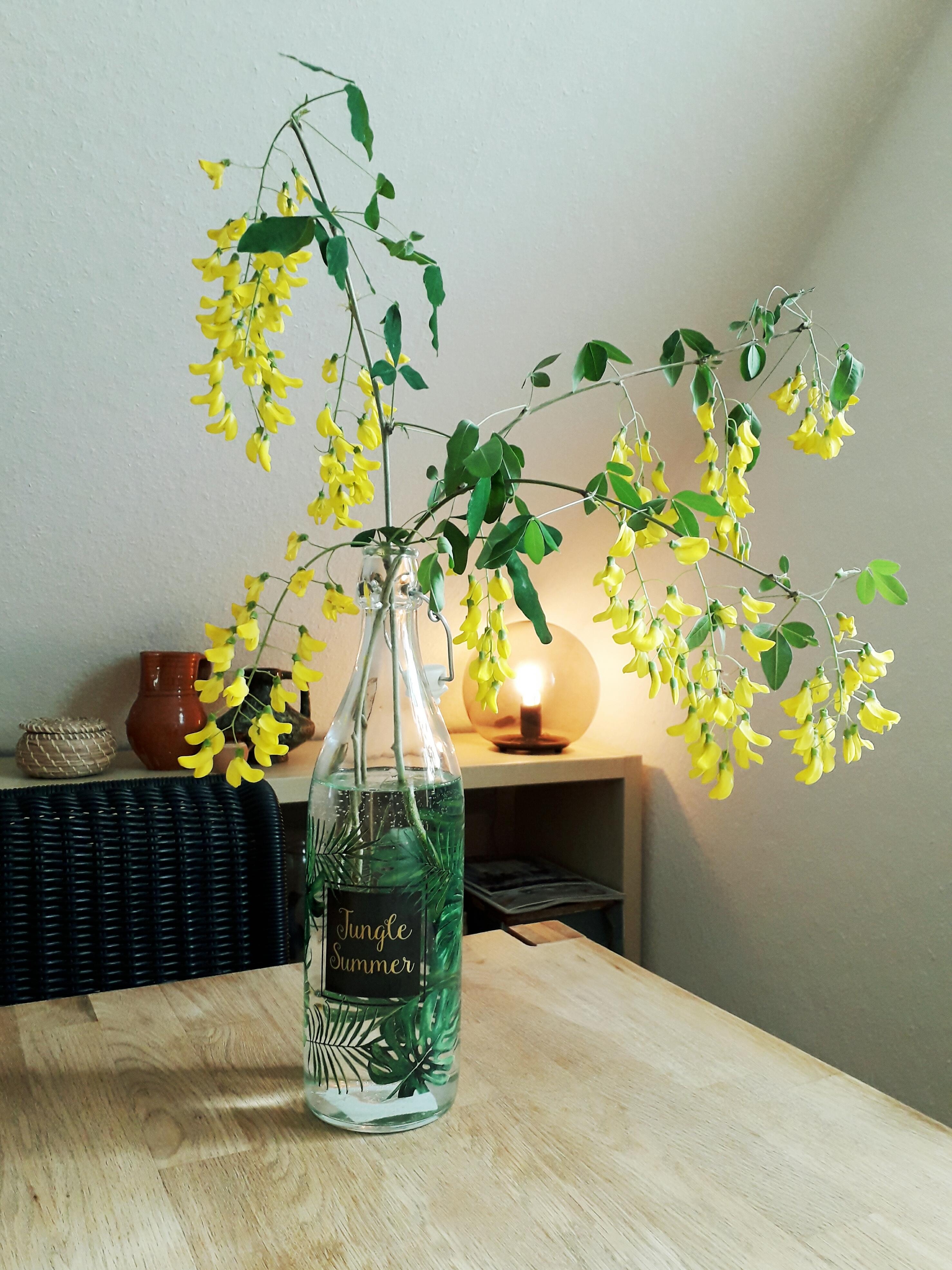  #Gelb #Vase #Glasvase #Esstisch #IkeaFadoLampe #Blumen
#blumendeko #Goldregen
#sommer