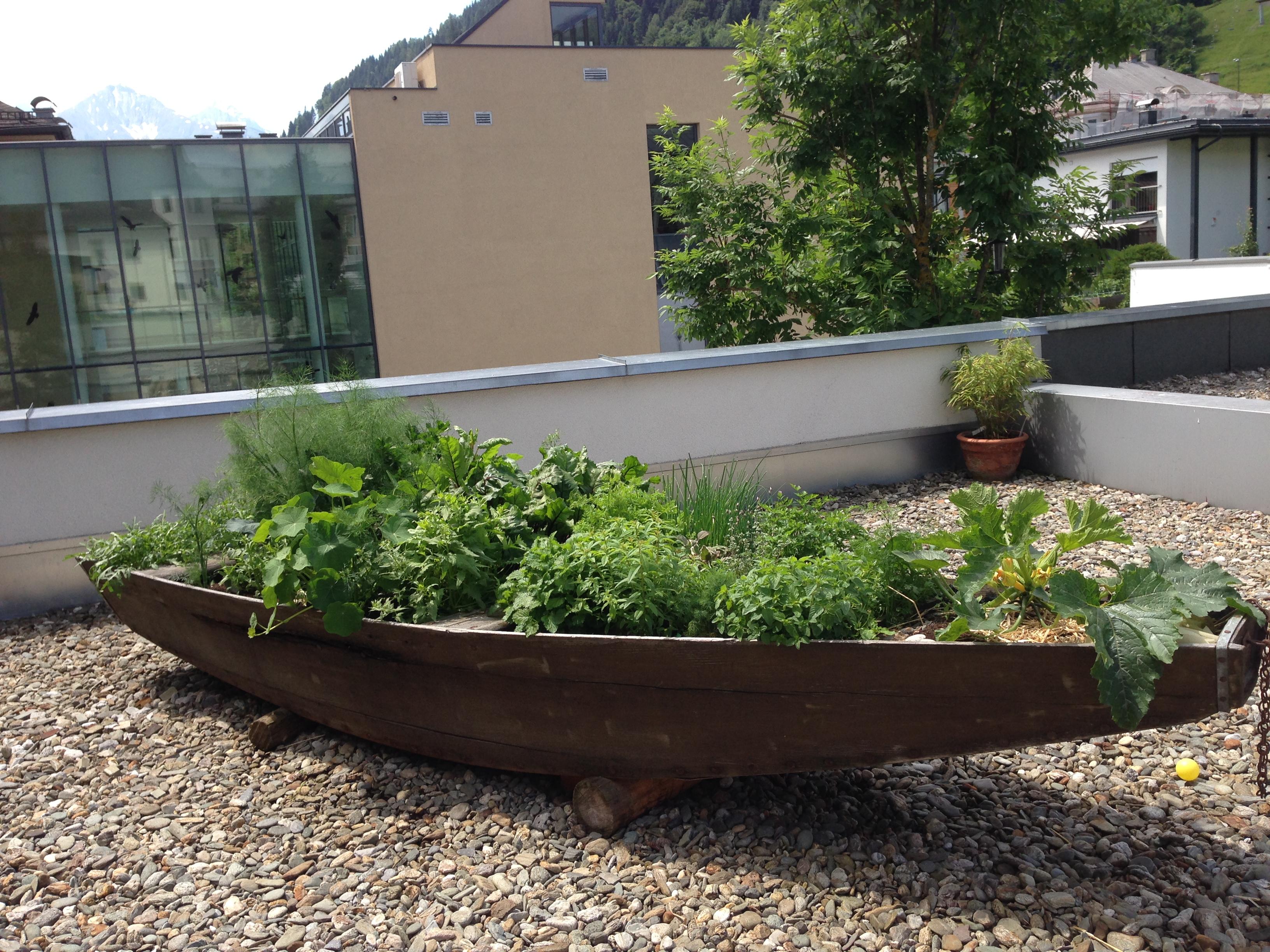 Gemüse/Kräuterboot "Green Pearl" #beet #kräuter #kräuteraufbewahrung ©Elisabeth Schratl