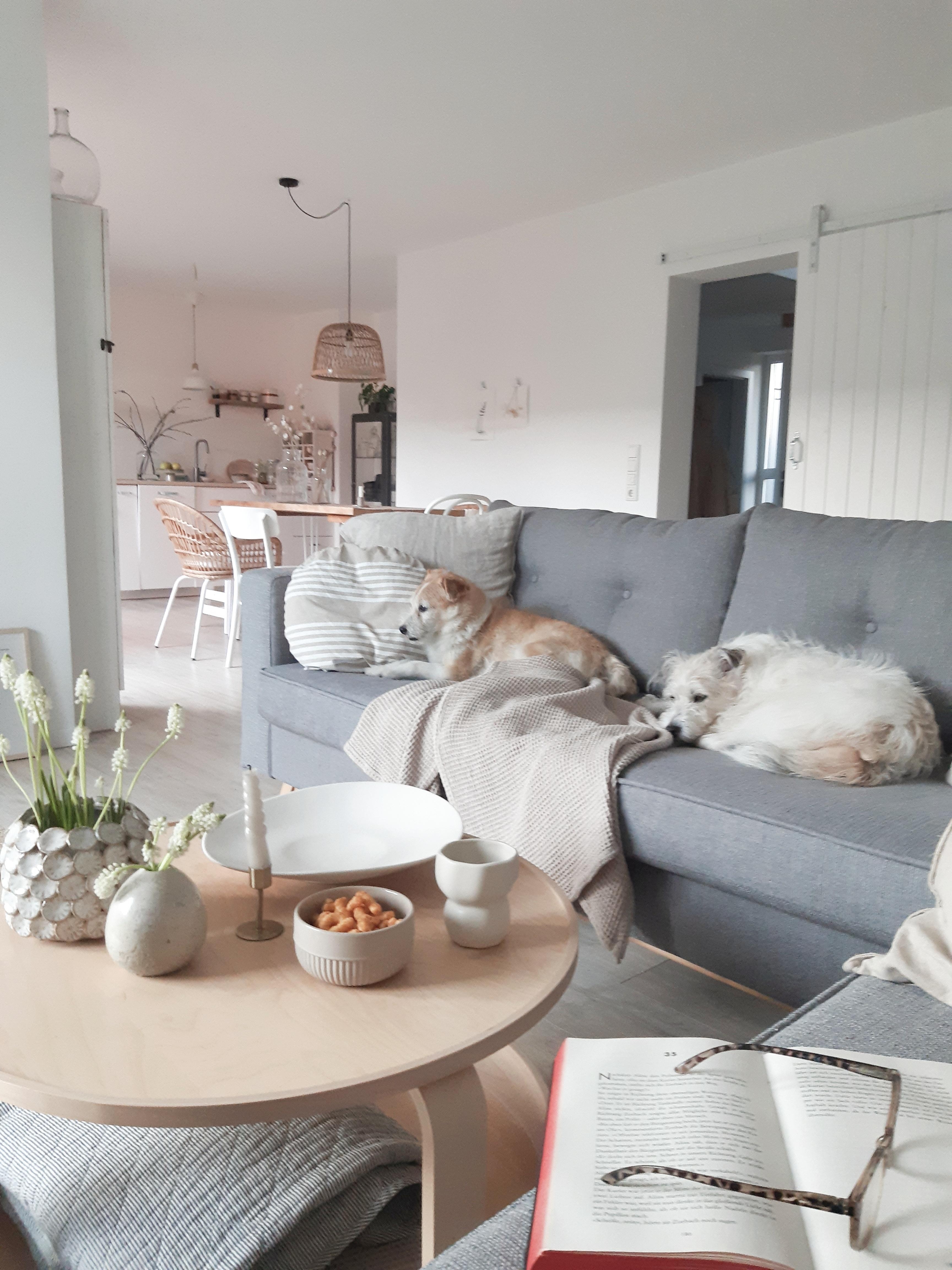 Gemütlich machen...
#couchstyle #wohnzimmer #interior #couchliebt #slowliving #gemütlich #nordichome 