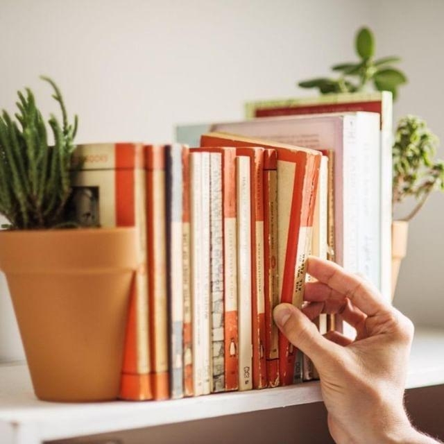Gib deinem Bücherwurm ein Zuhause. 😜
#coanoa #design #interior #home #zuhause #solebeich #dasistschön #buchstütze