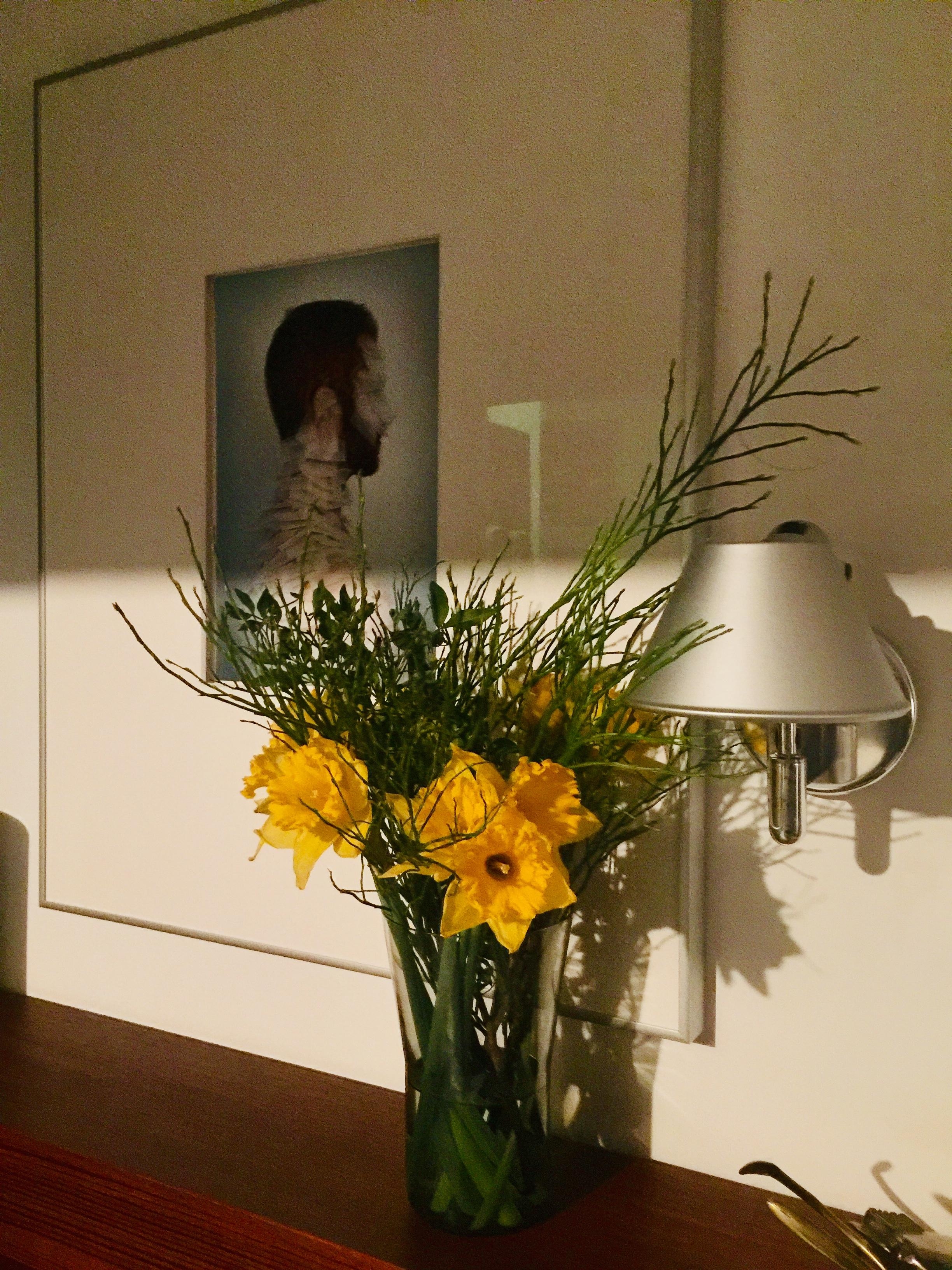 Ginger man#Paris#Yellow flower#Berlin
