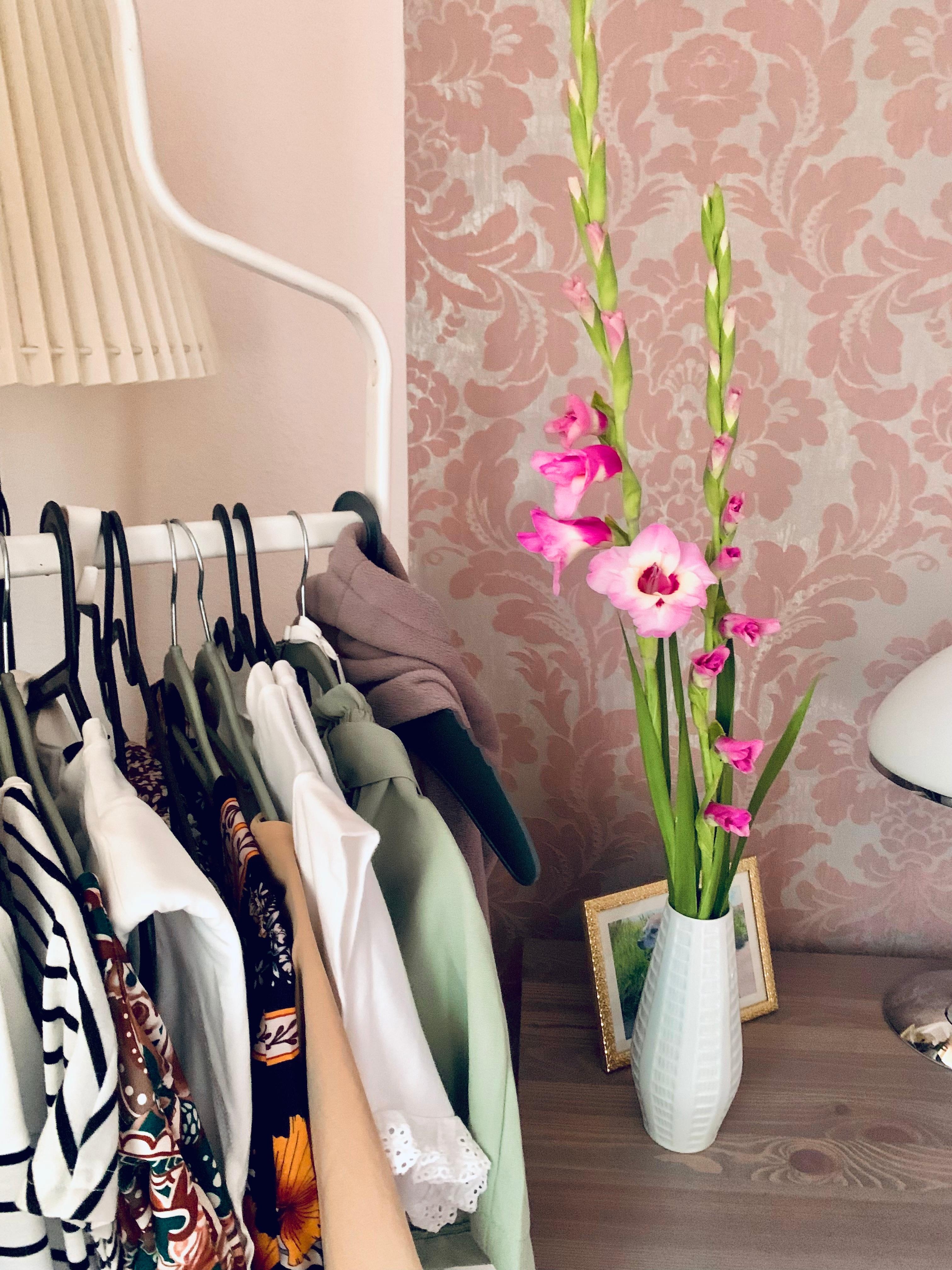 Gladiolen 💕
Sommer Blumen 

#vase #flower #tapete #lampe #kleiderständer #sommerkleider 