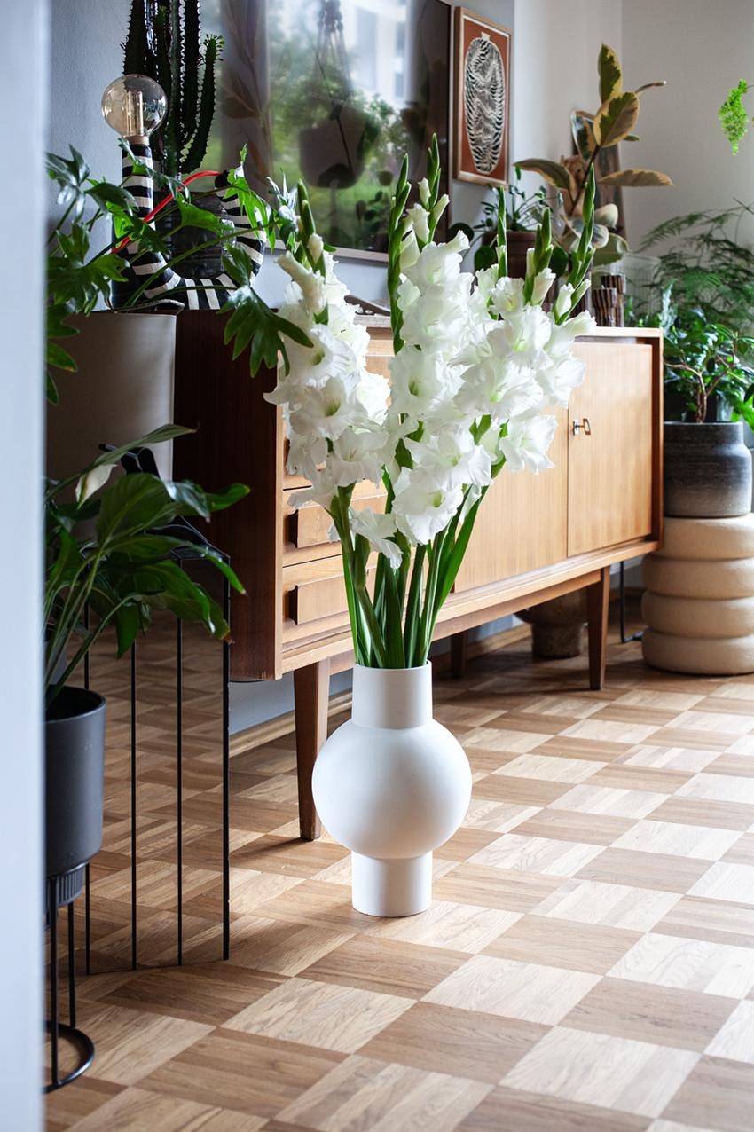 Gladiolen kommt von:
„glad“ (froh), „I“ (Ich) und „holen“
Habt‘a auch gemerkt oder?

#Gladiolen #Blumen #Vase
