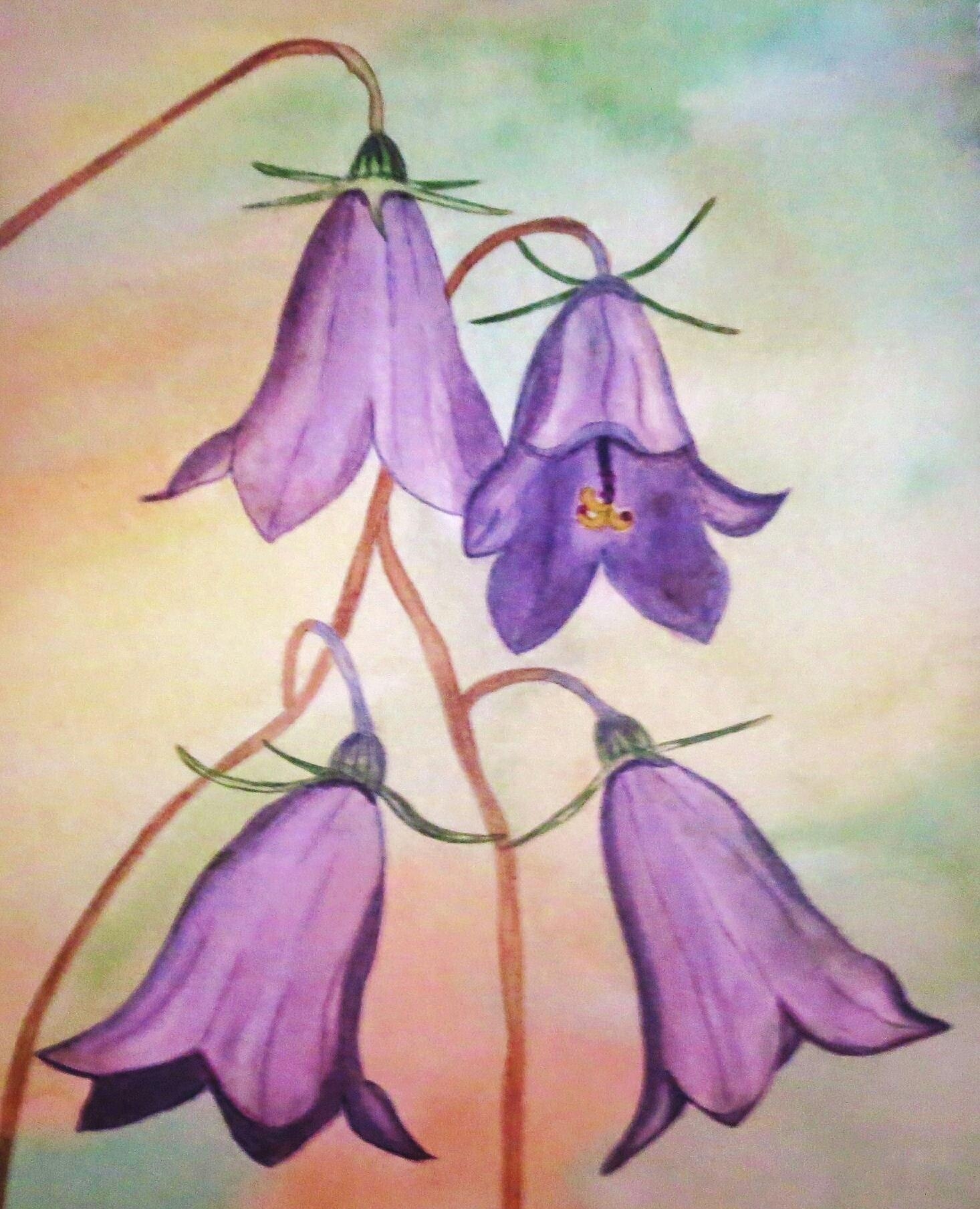 Glockenblümchen 
#Acrylbild,#leinwandbild #Unikat #art #flowers #wohnidee #bilderwand 