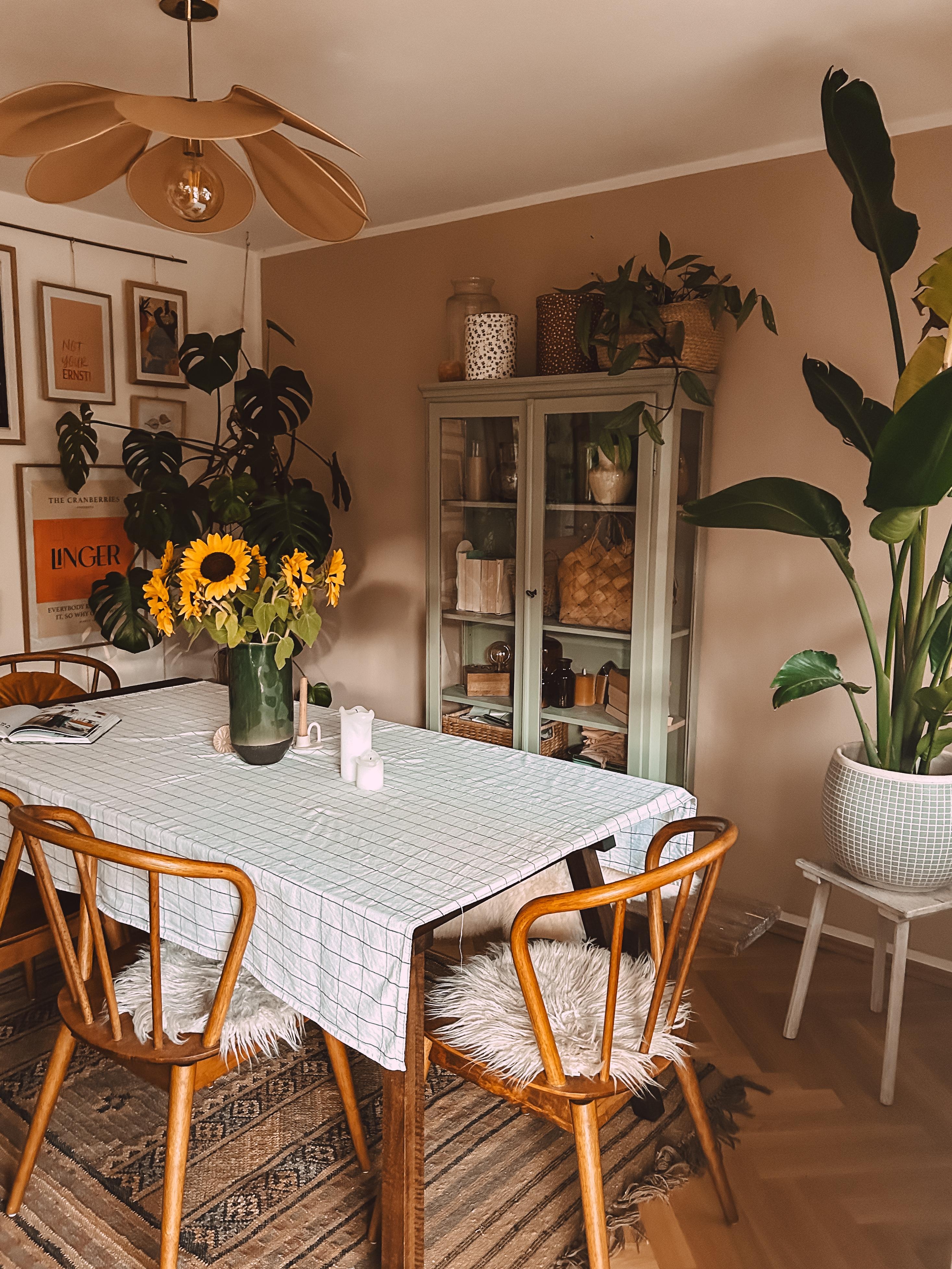 Golden Hour 🧡 #esszimmer #esstisch #wohnzimmer #pflanzen #tischdecke 