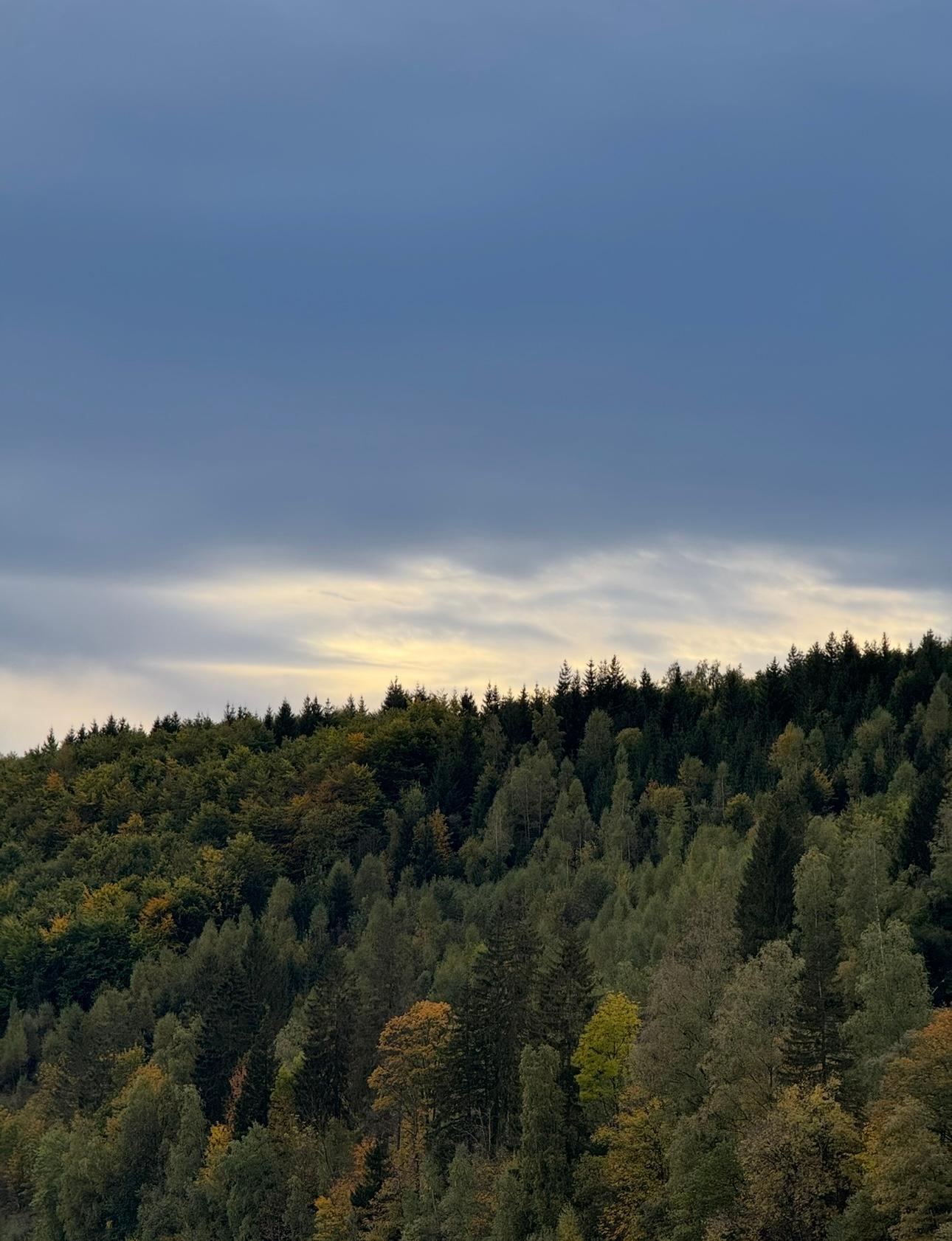 #Goldeneroktober as it‘s best #Herbst ..so kannst du gerne bleiben 🧡