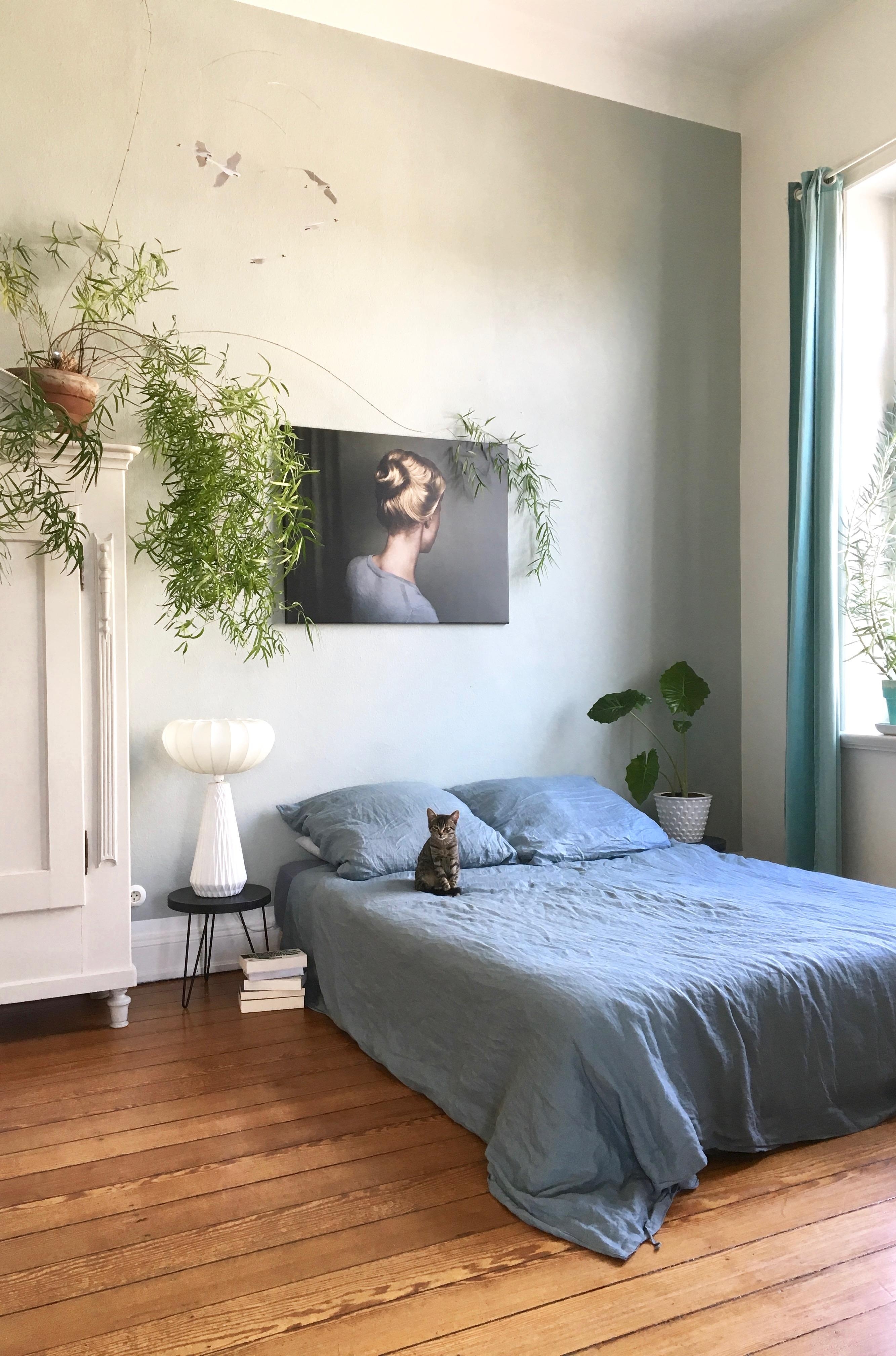 Good morning 🌿😽💤

#bedroom #schlafzimmer #asparagus #altbauwohnung #dielenboden #midcentury #jugendstil