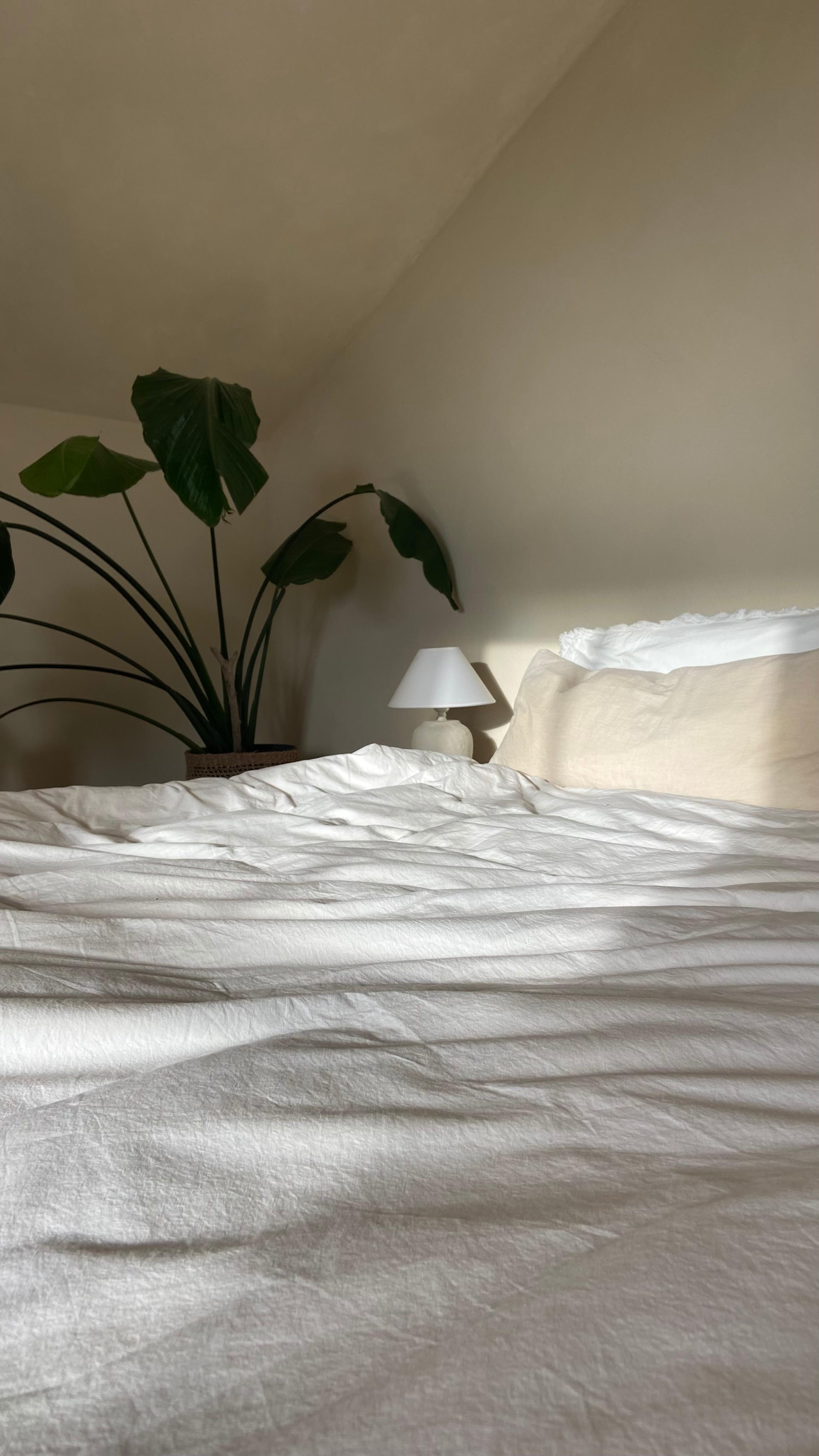 Good morning 🌞
#bedroom #strelitzia #minimalistbedroom #schlafzimmer #leinenbettwäsche #mediterranean #wabisabi 