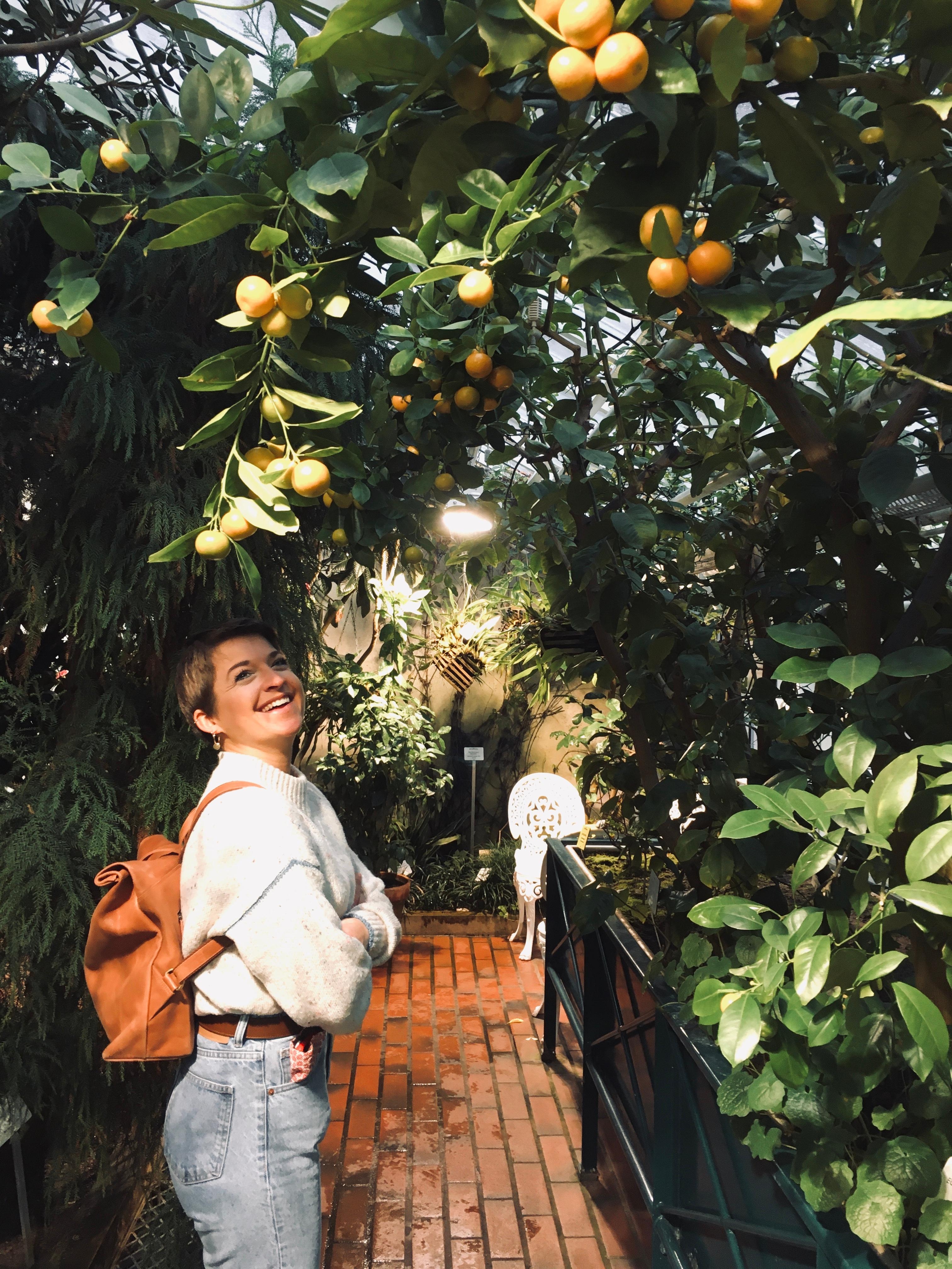 Good vibes only 🍋🍊
#happynewweek #orangerie #botanicalgarden 