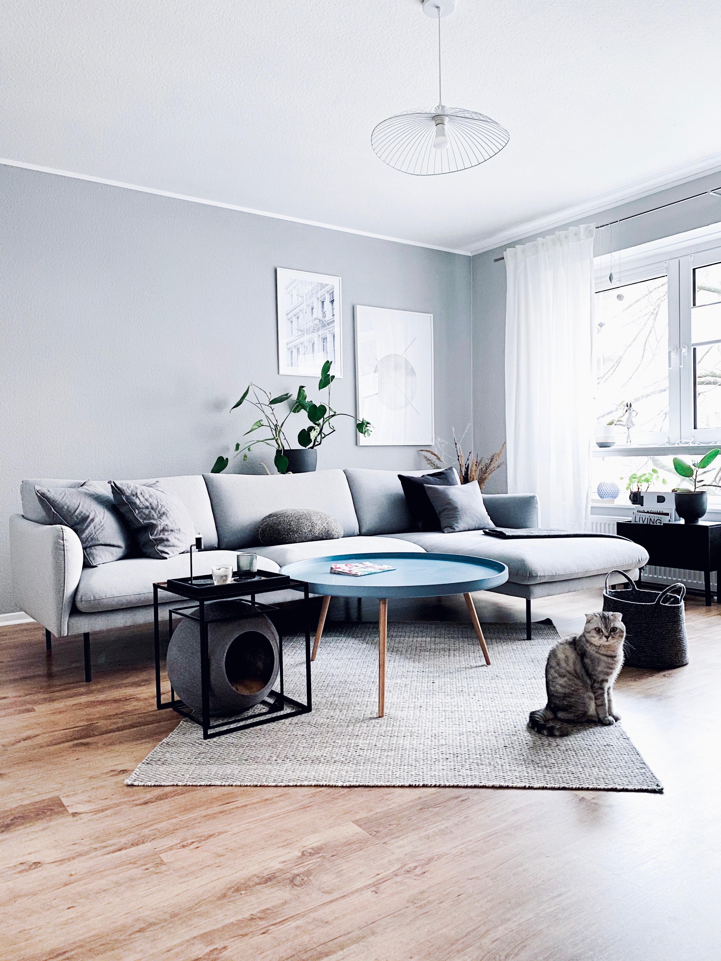 Grau-in-grau 🖤
#interior #greylover #nordicroom #scandinavianliving #catmom #livingroom #hygge 