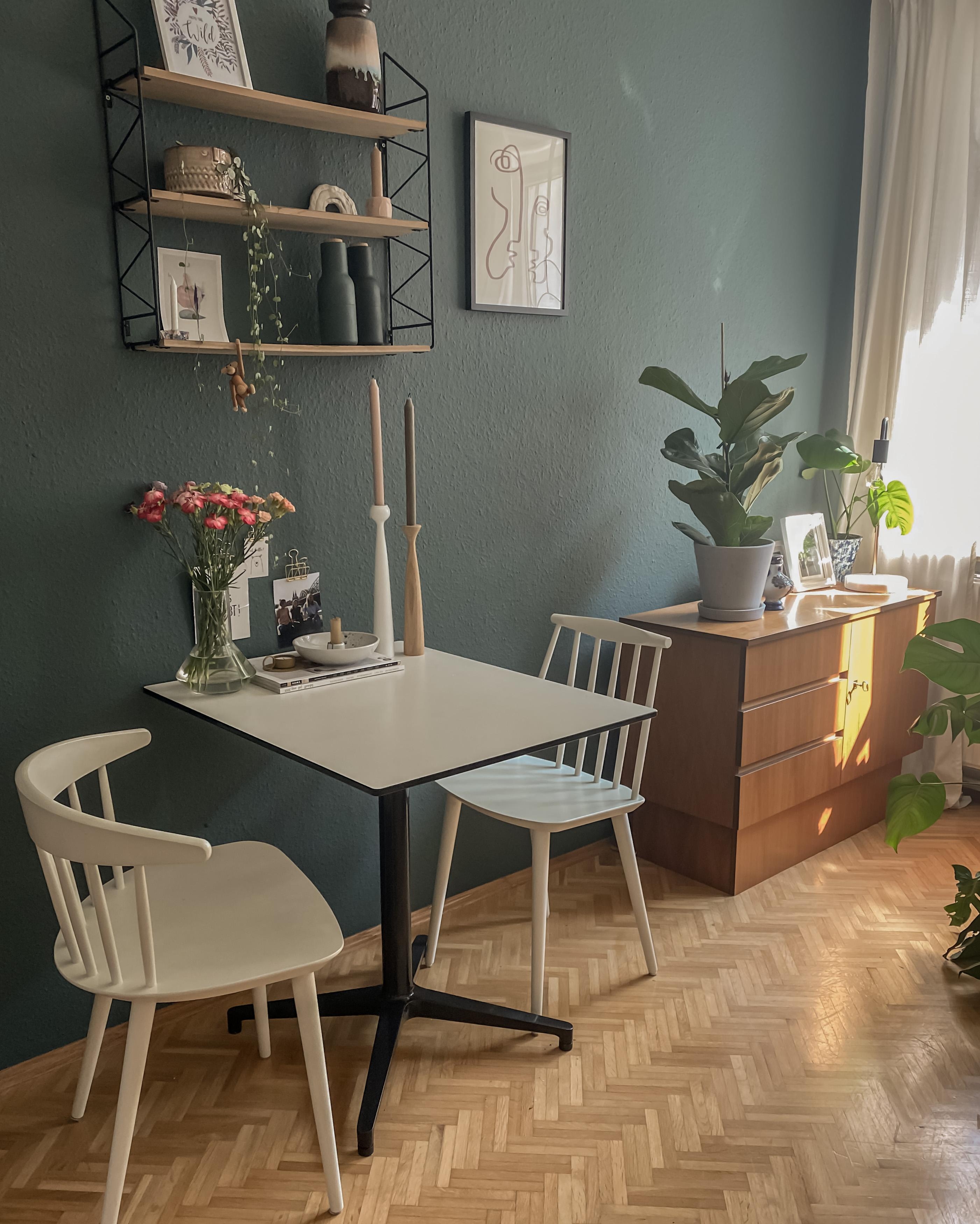 GREEN VIBES🌿 #wandfarbe #Plants #Plantgang #Pflanzenliebe #vintagehome #altbau #coffeetable