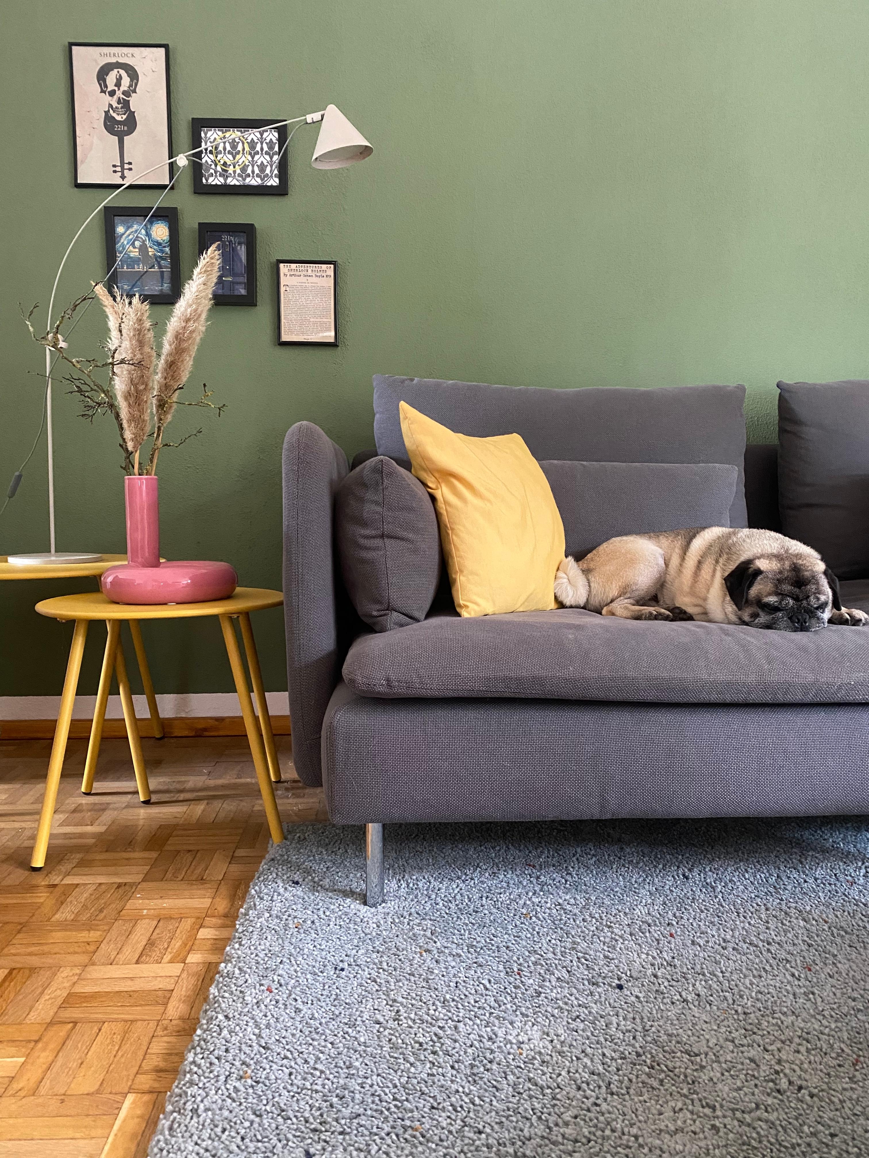 „Greenday“ 💛🌿💚🌼
#wohnzimmer #scandistyle #grün #wandfarbe #cozy #bohostyle #couchstyle #livingroom #gelb #details