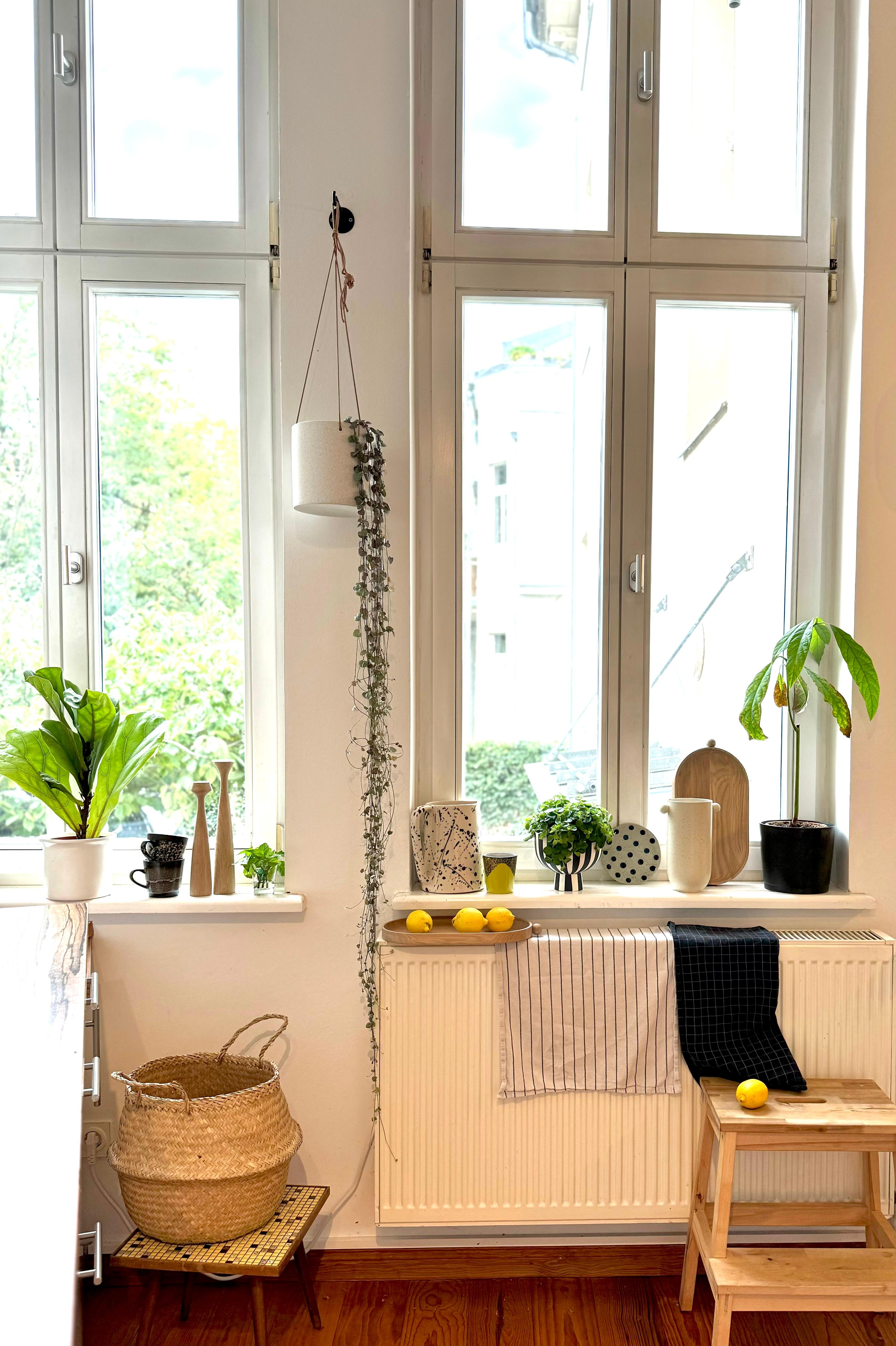 Große Fensterfront in der Küche 
#fenster #küche #küchendeko #fensterdeko