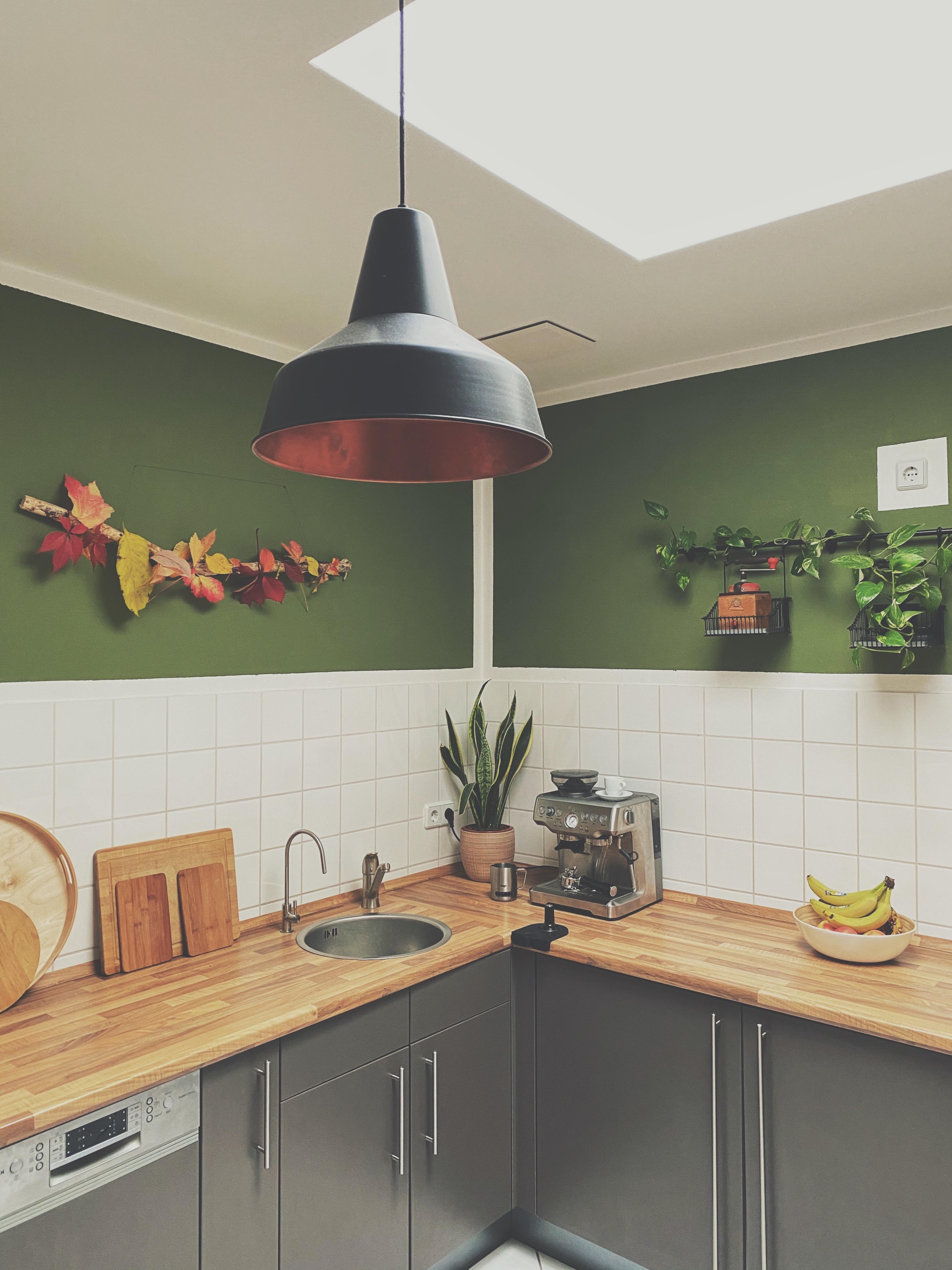 Große Küchenliebe
#küche #altbau #wandfarbe #grün #urbanjungle #lampe #hängelampe