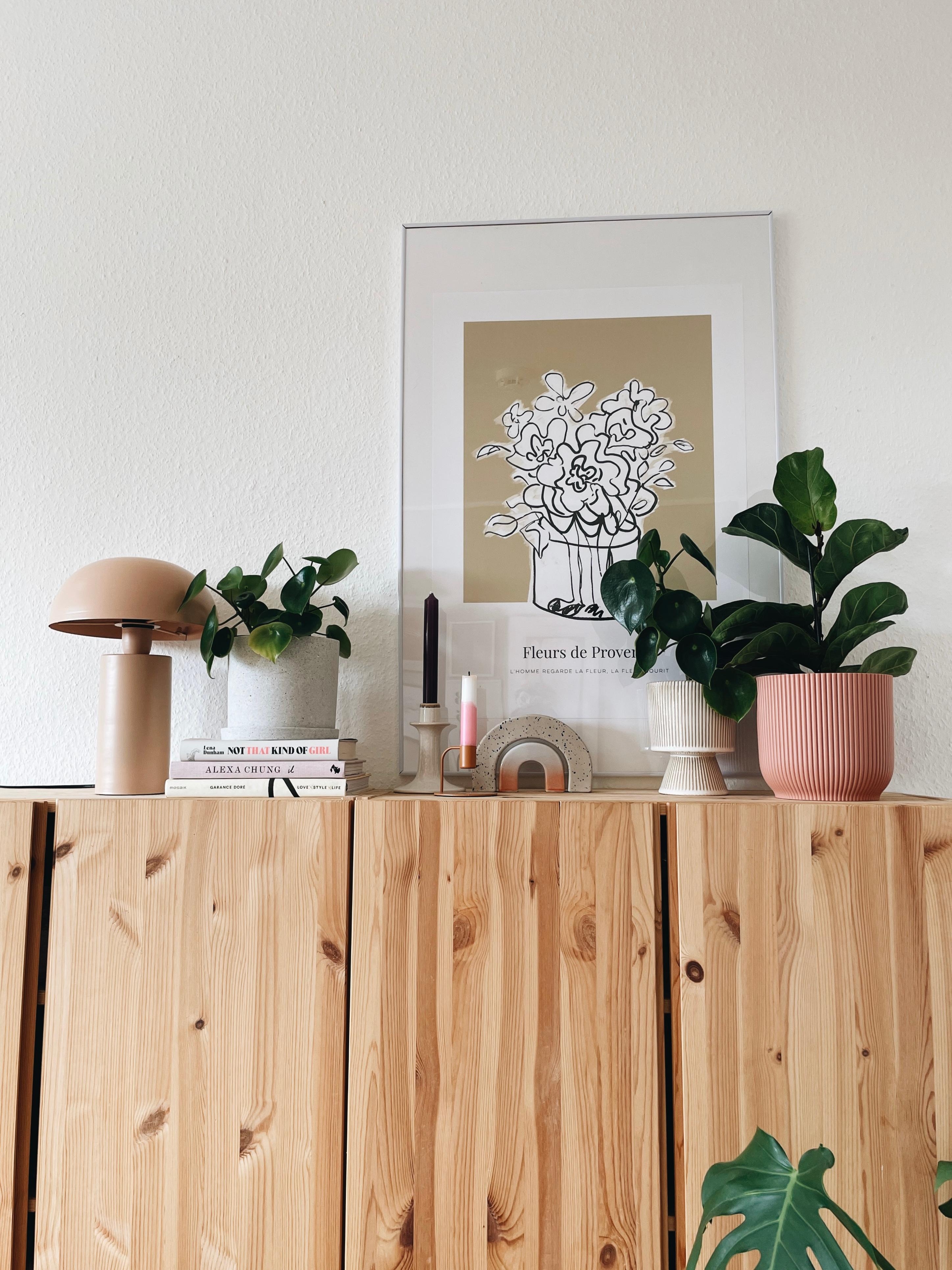 Große Pflanzenliebe 💚 #wohnzimmer #inspiration #dekoration #plants #couchliebt #hygge 