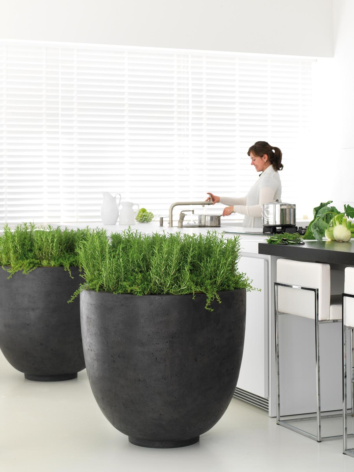 Großes Pflanzgefäß Beton grau #küche #büro #terrasse #arbeitszimmer #wohnzimmer #minimalistisch #raumteiler #pflanzkübel ©fleur ami